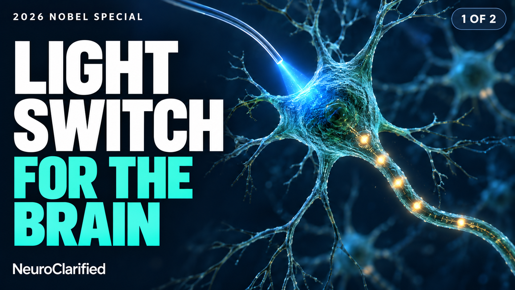 The 2026 Nobel Discovery That Gave Brain Cells a Light Switch
