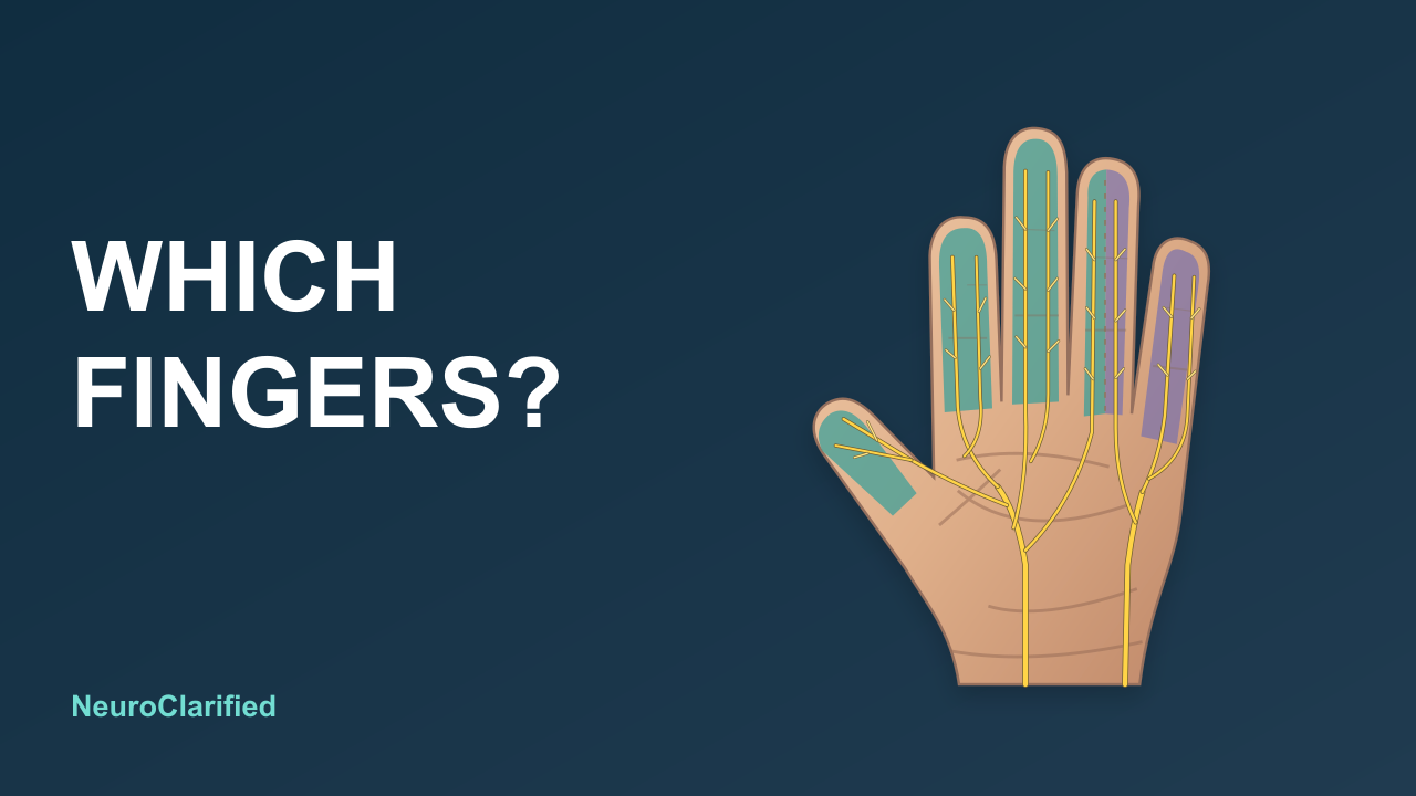 Numb Fingers at Night: What the Wrist and Elbow Can Tell You