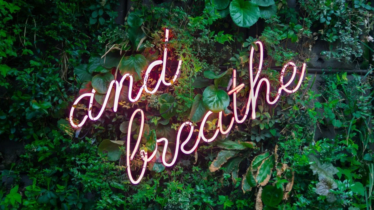 Coping with volatility: don't panic; seek truth; release frequently