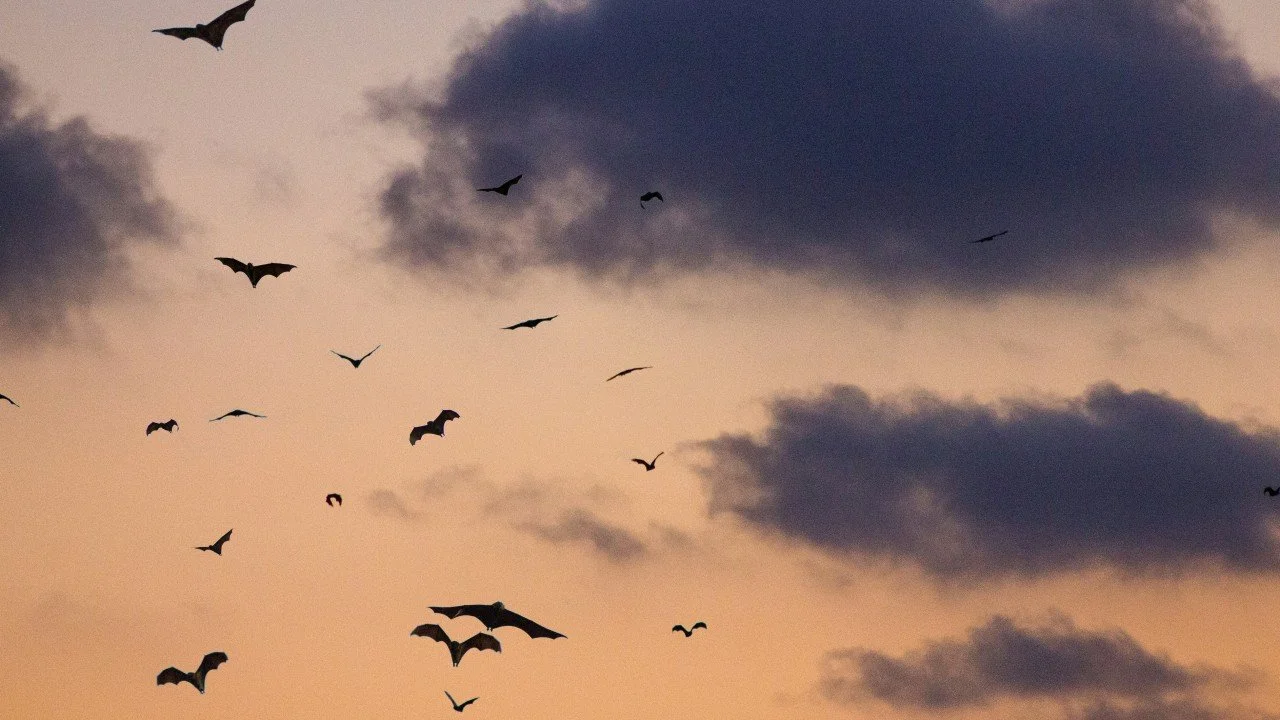 Technology architects aren't vampires: they don't need to be invited in