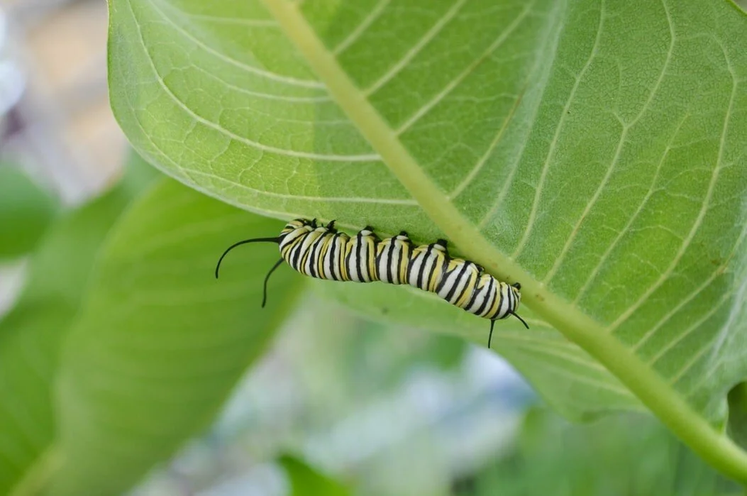 Technology leaders: cultural transformation starts with you