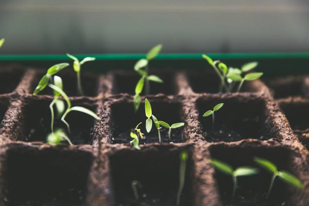 Are you new here? Lessons learnt from many new starts
