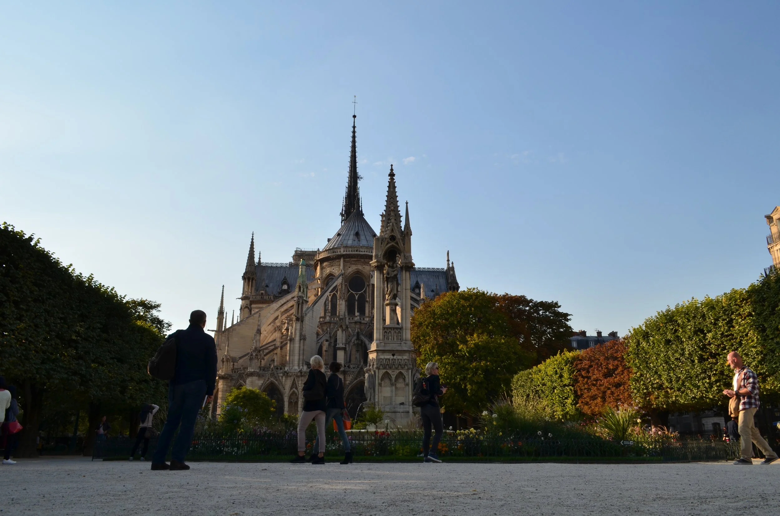 La Catedral de Notre Dame en París, vista desde el parque cercano con varias personas paseando y árboles verdes y coloridos, en un día despejado.