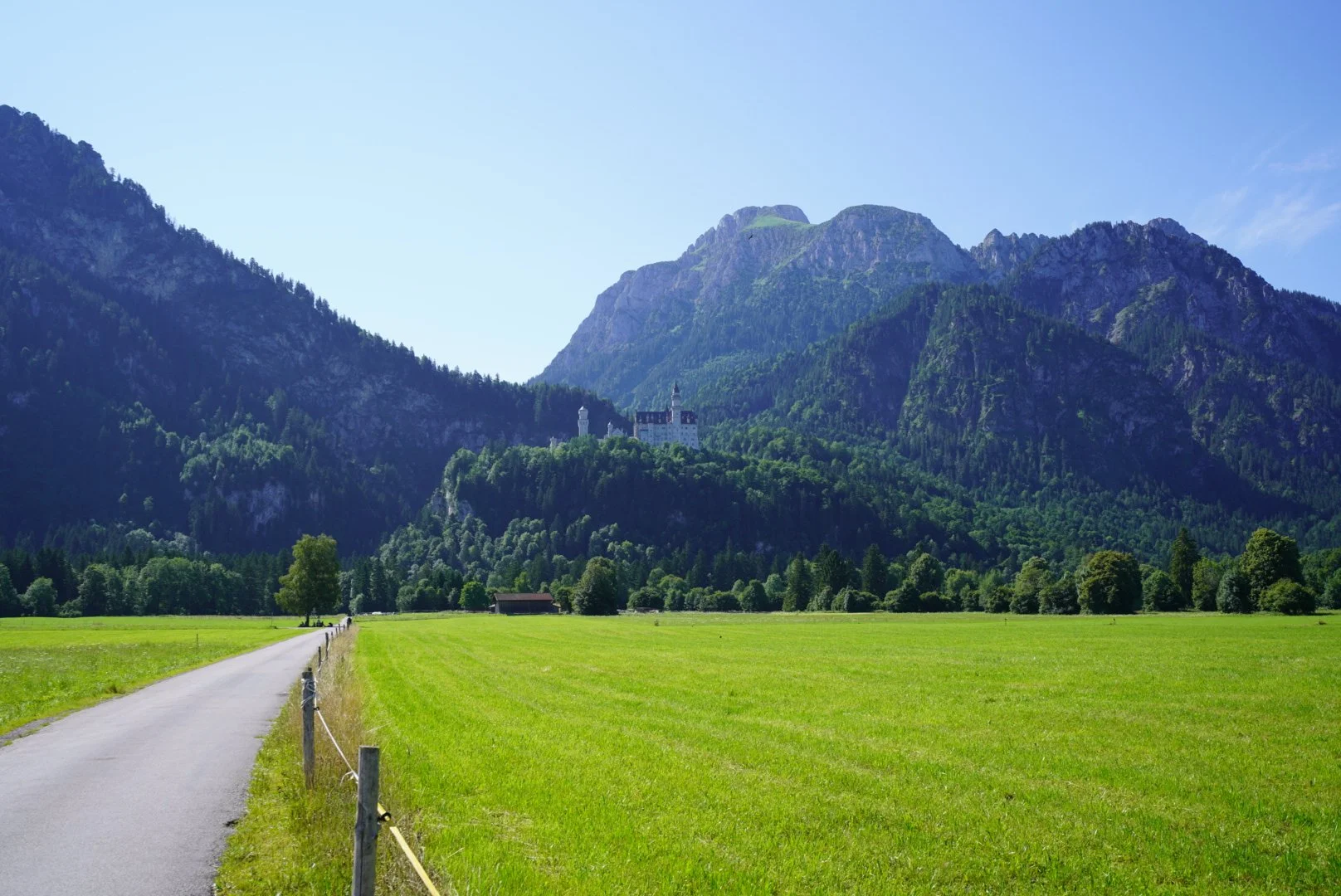 Camino serpenteante a través de un campo de césped verde, con árboles dispersos y un castillo en la ladera de una montaña cubierta de bosques, todo bajo un cielo azul claro
