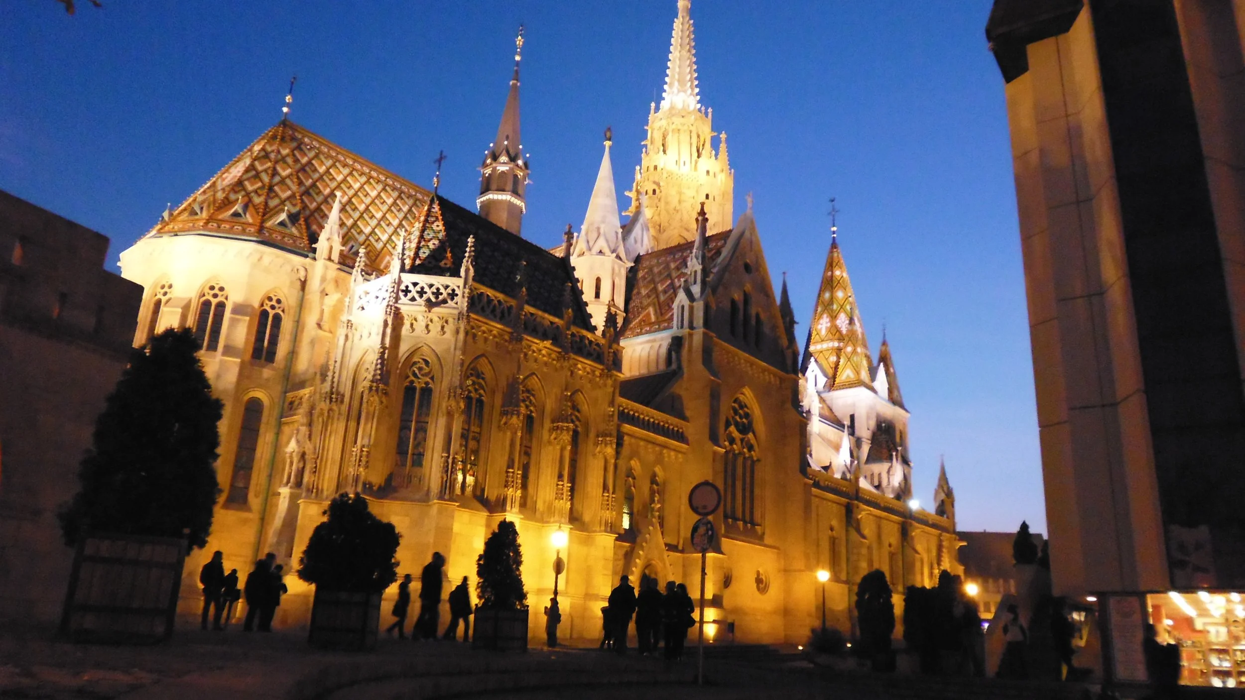 Catedral de estilo gótico iluminada por la noche en una plaza con personas caminando y arboles