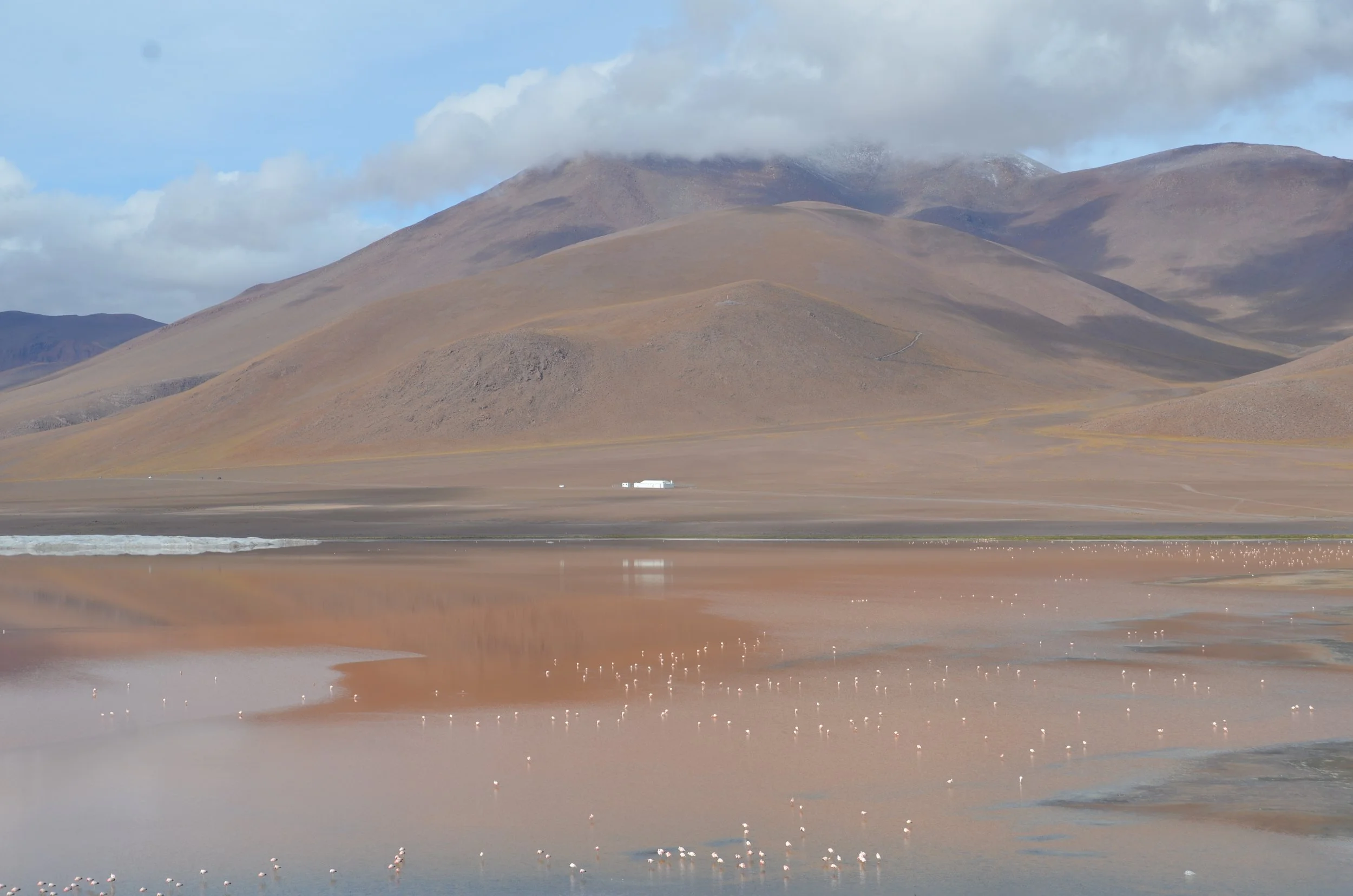 Paisaje de montañas y un lago con flamencos que reflejan el cielo nublado.