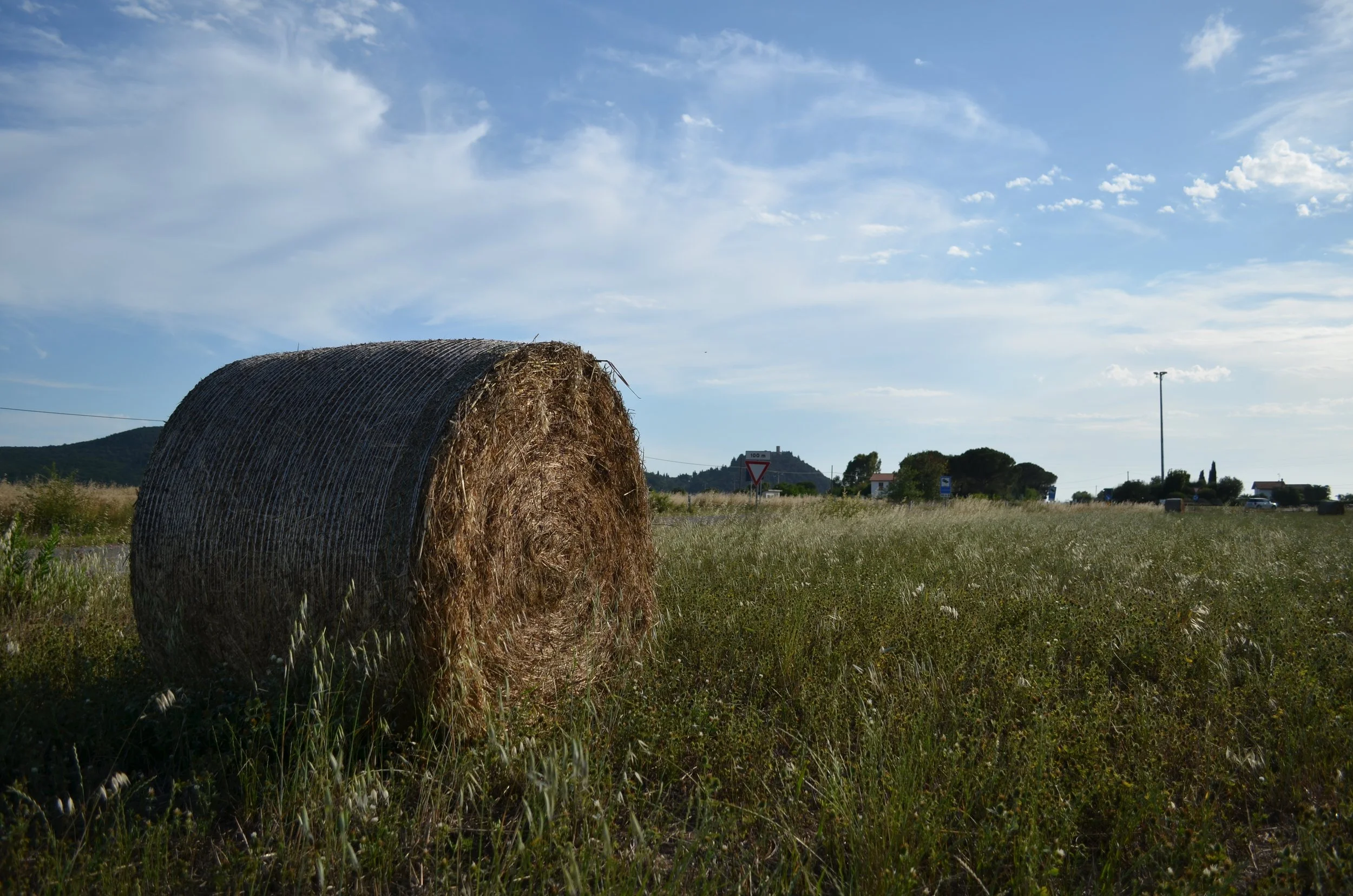 Un campo con una artesa de heno y vegetación bajo un cielo con nubes.