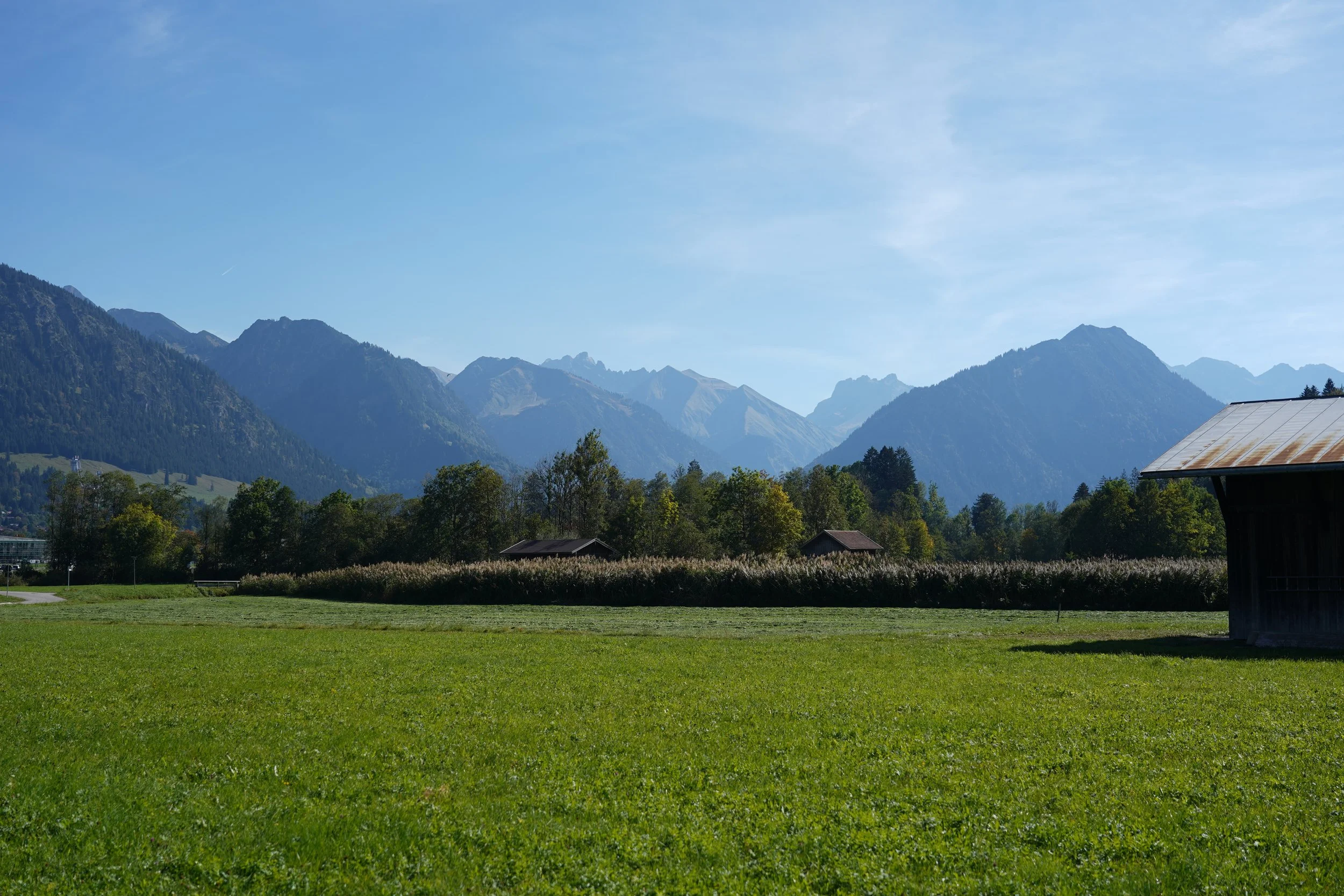 DSC03141.JPG