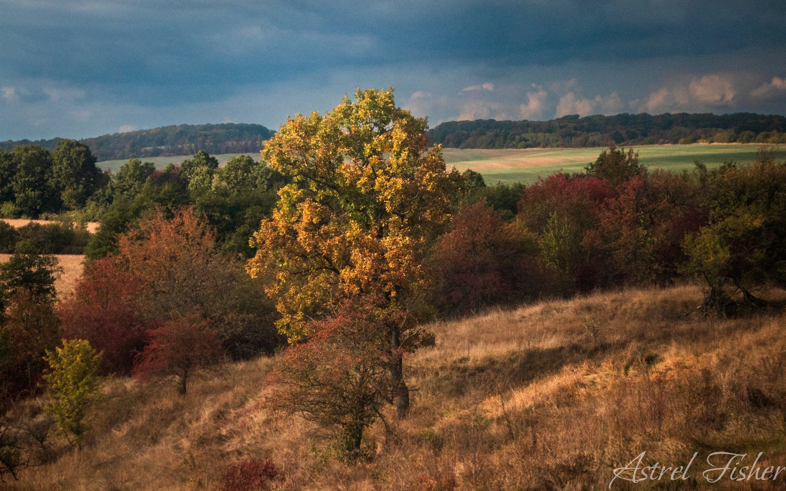 A scenic landscape of rolling hills, trees with autumn foliage, and a grassy hillside under a cloudy sky during daytime.