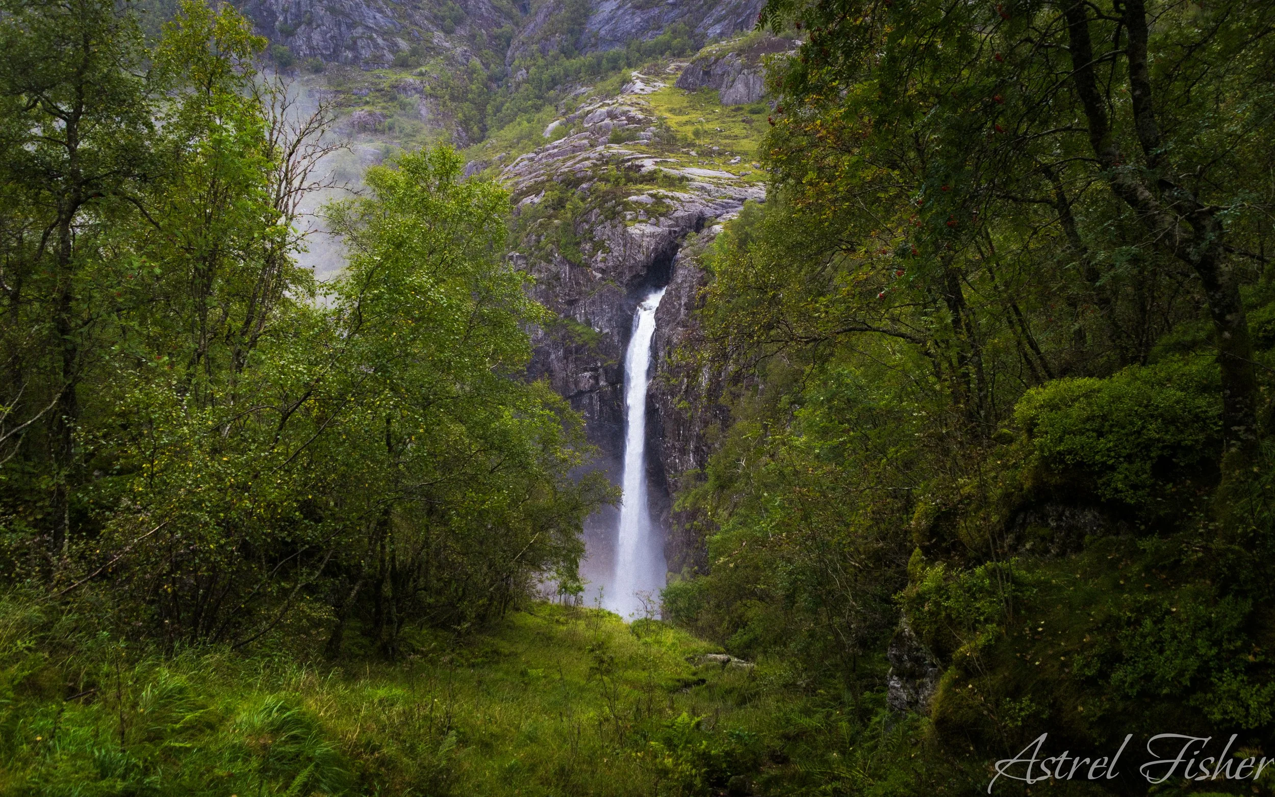 A waterfall cascading down a rocky cliff surrounded by lush green trees in a forest setting.
