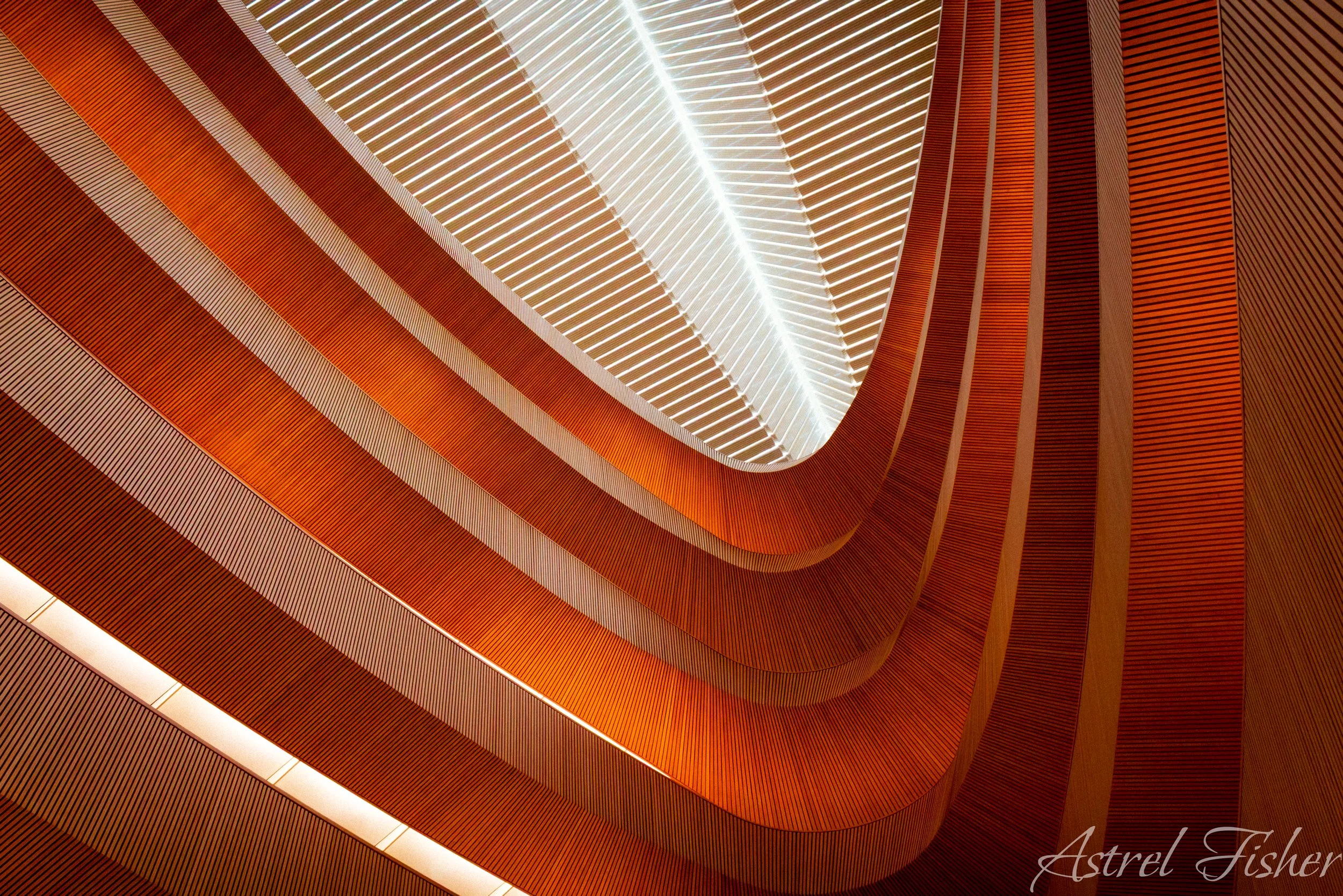 A modern architectural interior with wooden curved stairs and illuminated pathways, seen from above.