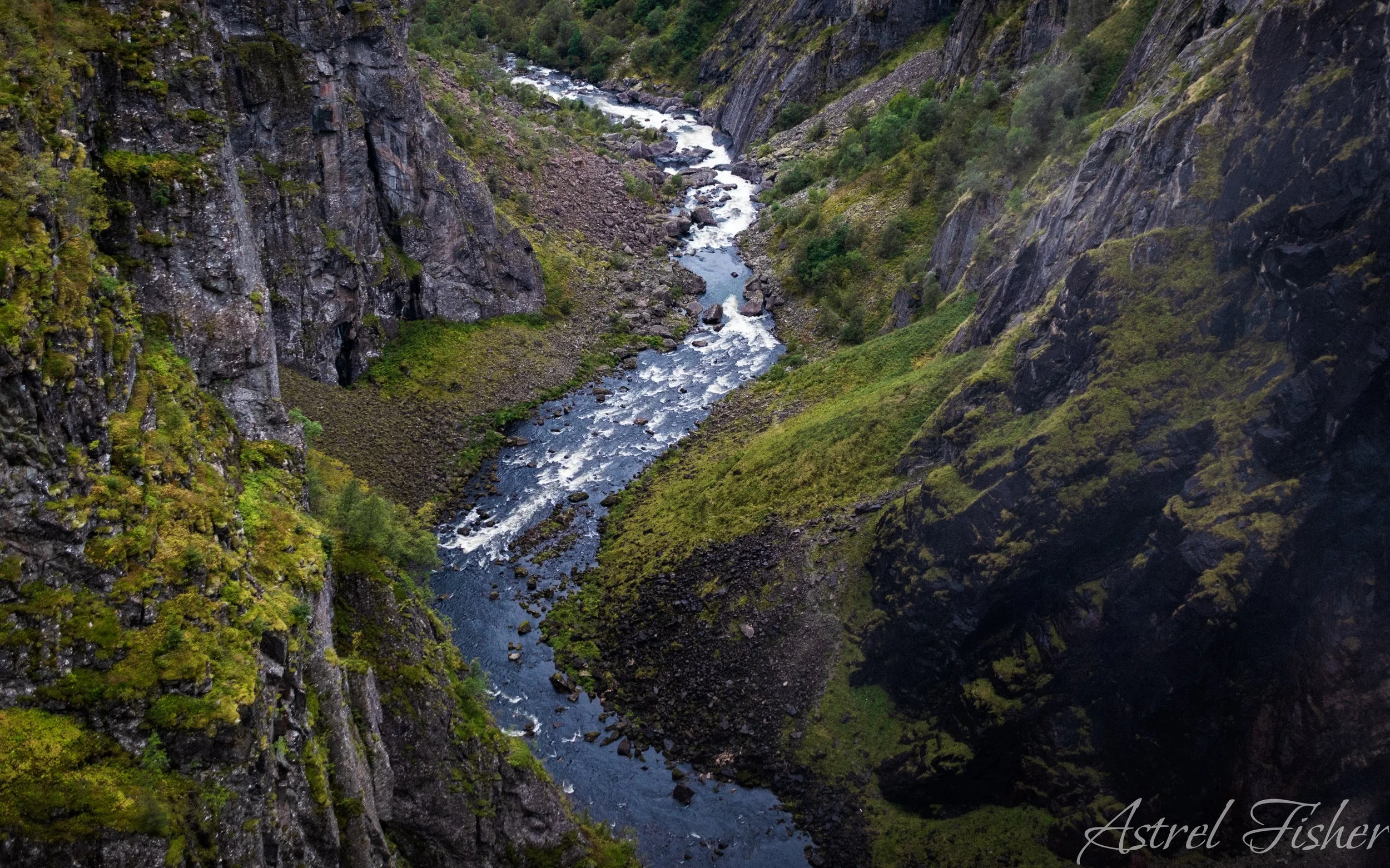 NMG_0543.jpg