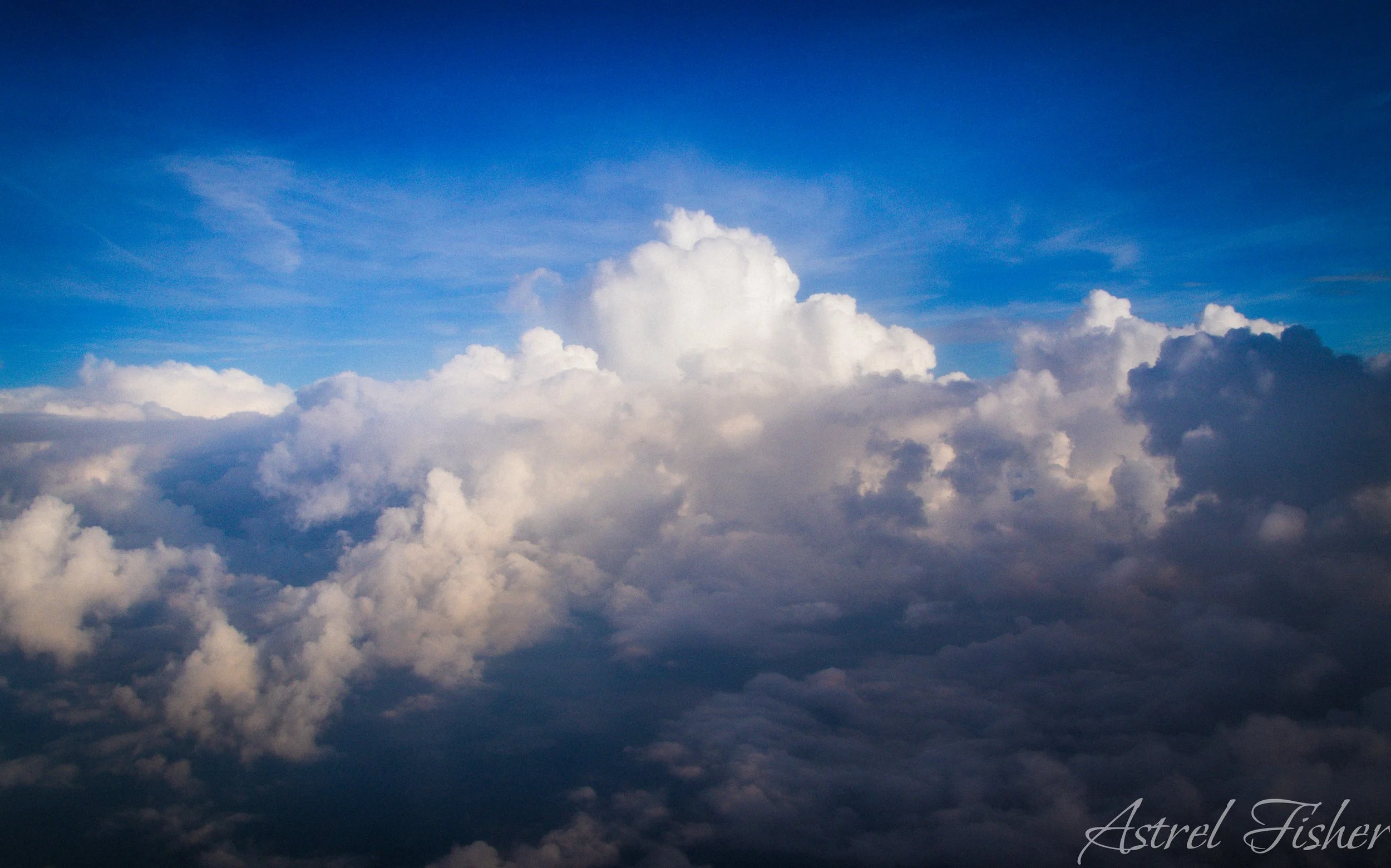 IMG_7421.jpg