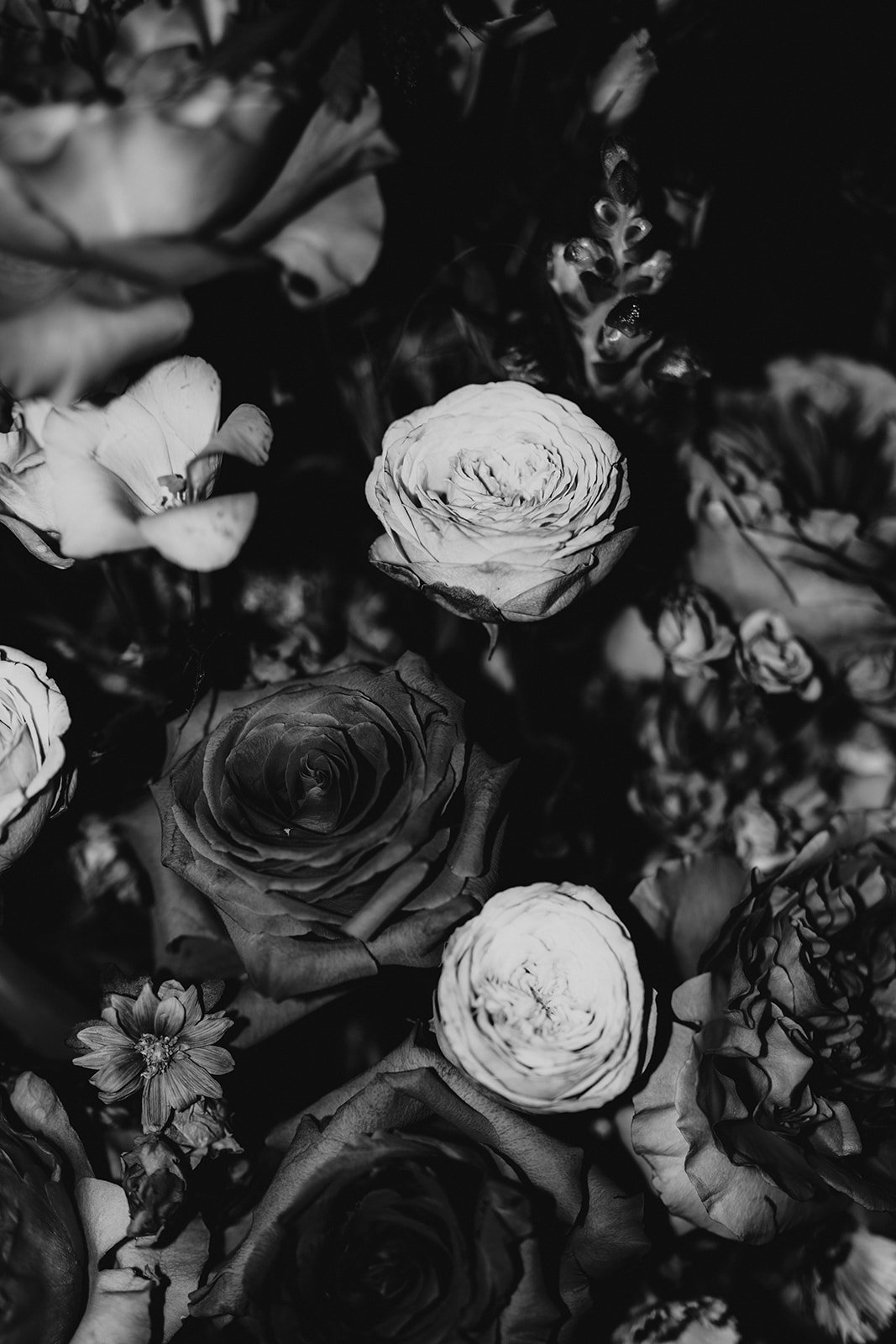 Melly & Martin Photography147.jpg