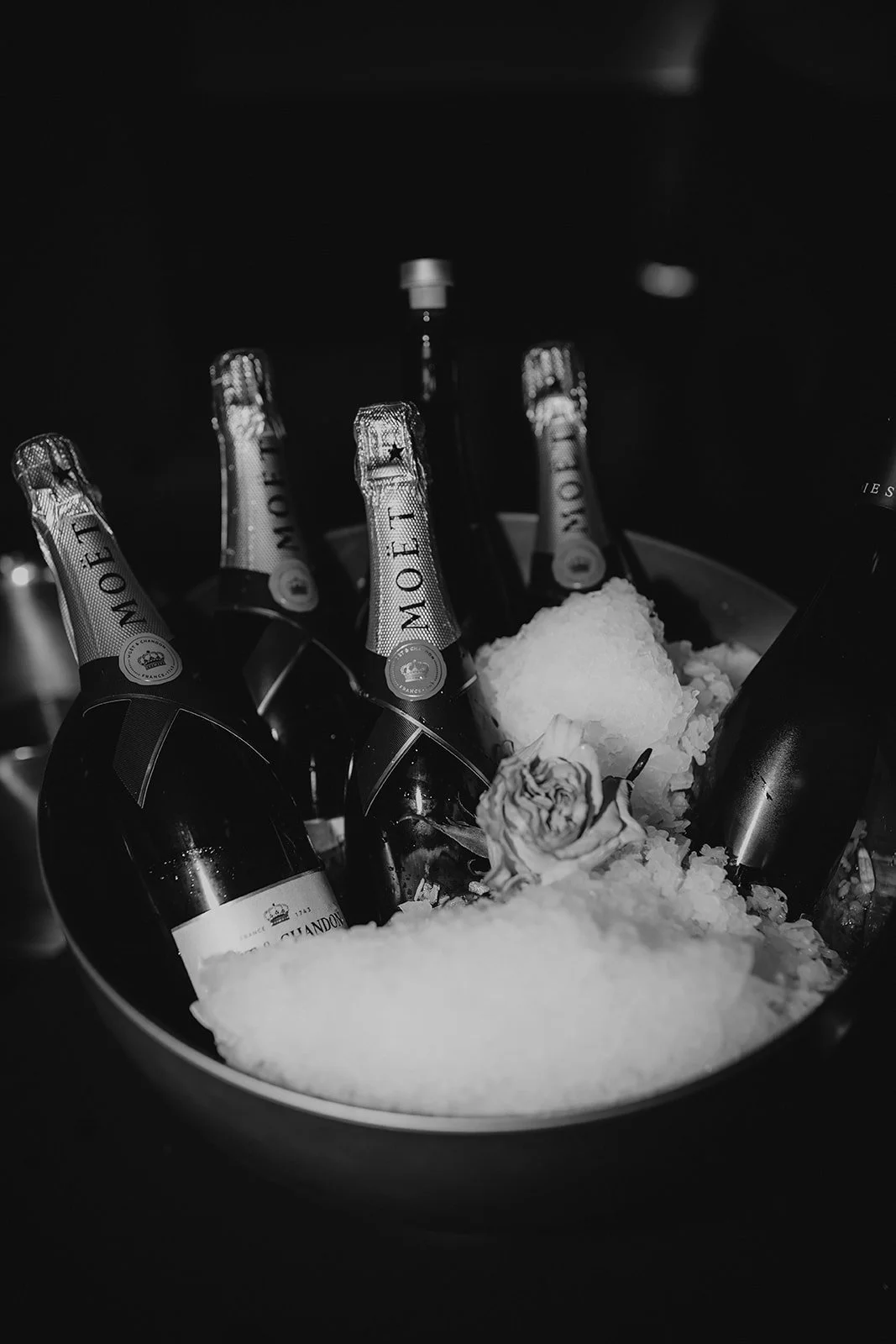 Melly & Martin Photography113.jpg