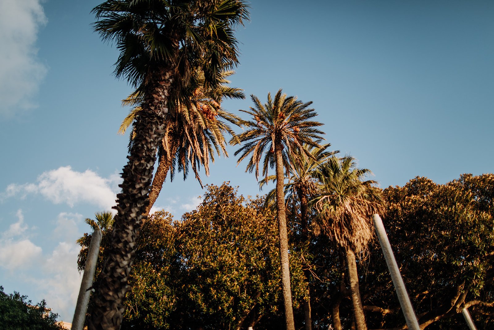 Melly & Martin Photography071.jpg