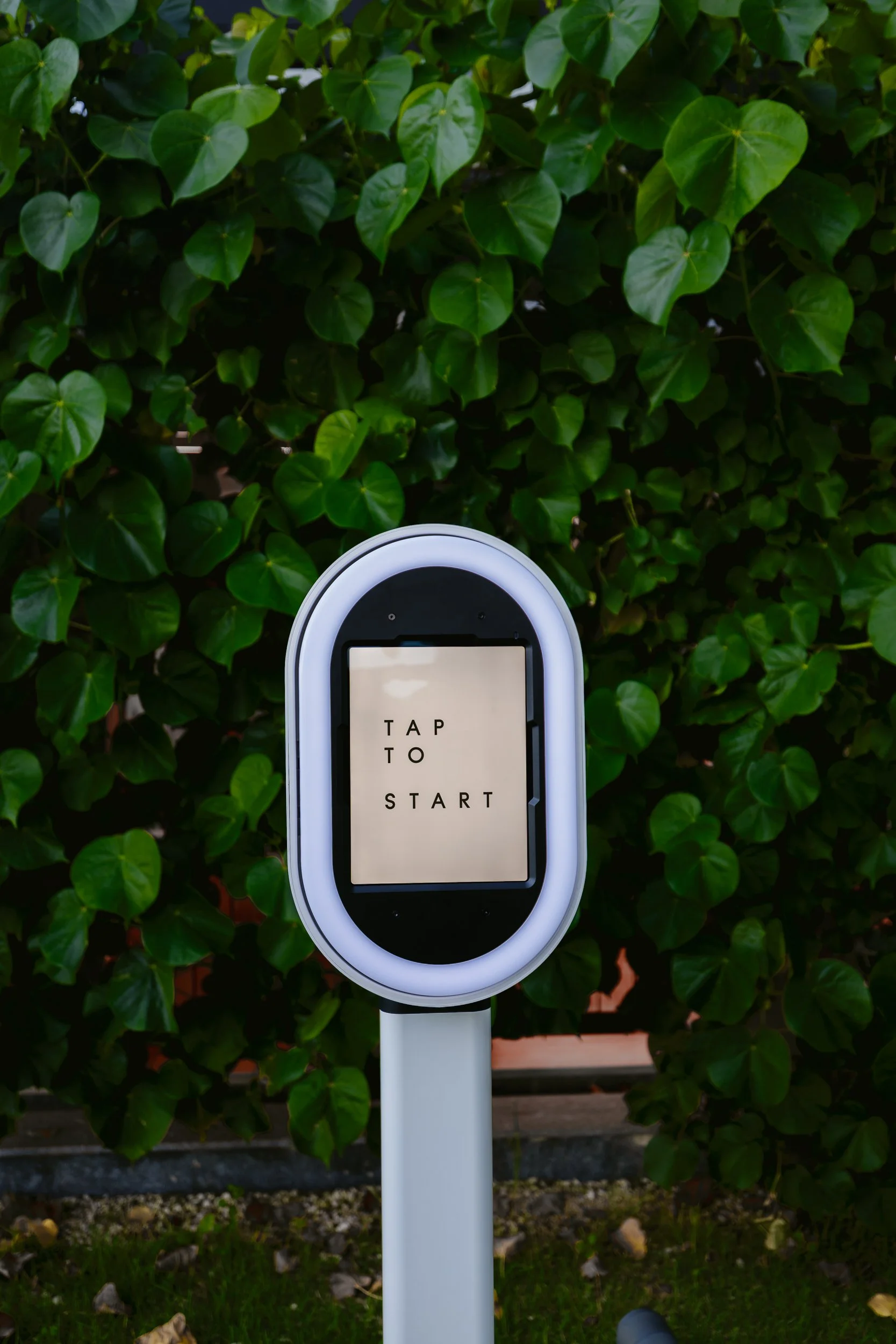 Salsa-2-Launch-Marketing-Materials-Professional-Photos-205.jfif