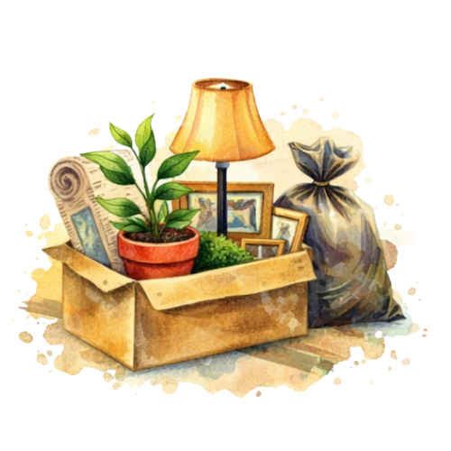 Ein Umzugskarton mit Pflanzen, Fotos, einem Stehlampe, einer Tüte und Papieren.