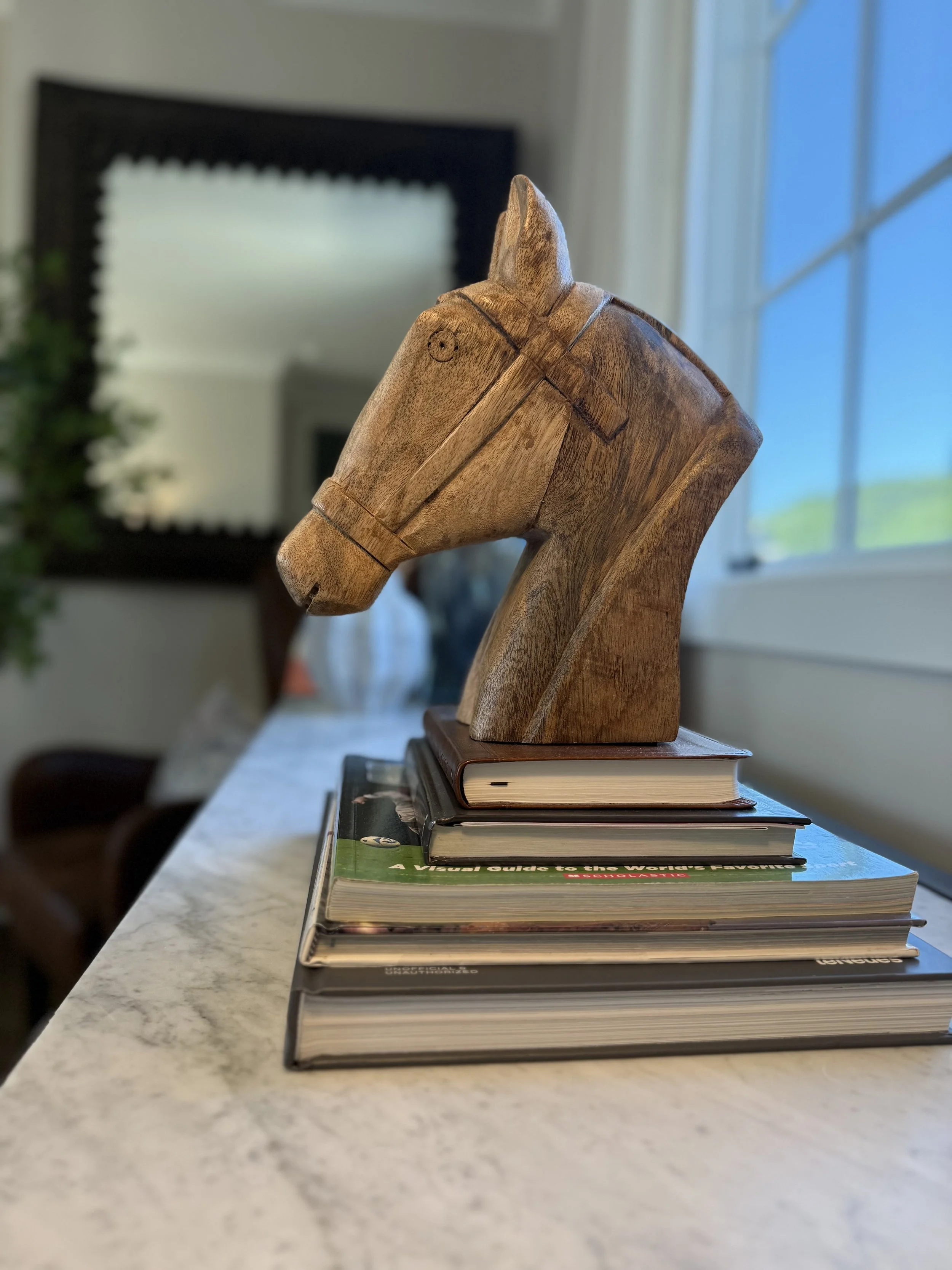 The Belmont Park Project