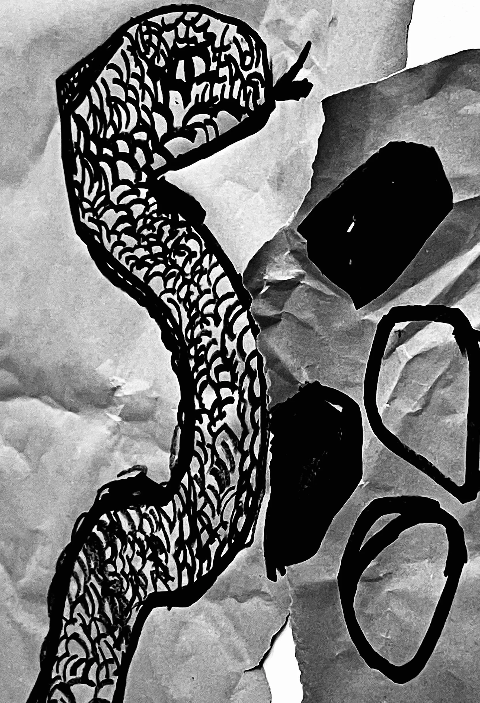 What Snake WIll Swallow Stones When Eggs Lay