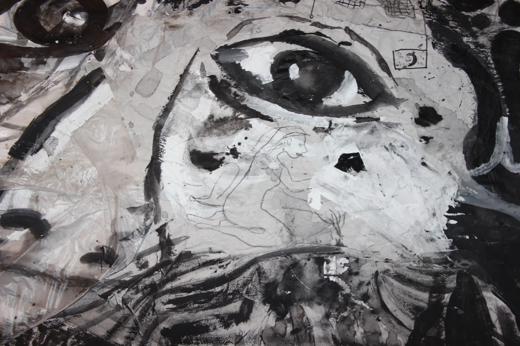 unnamed - 2026-03-11T230836.478.jpg