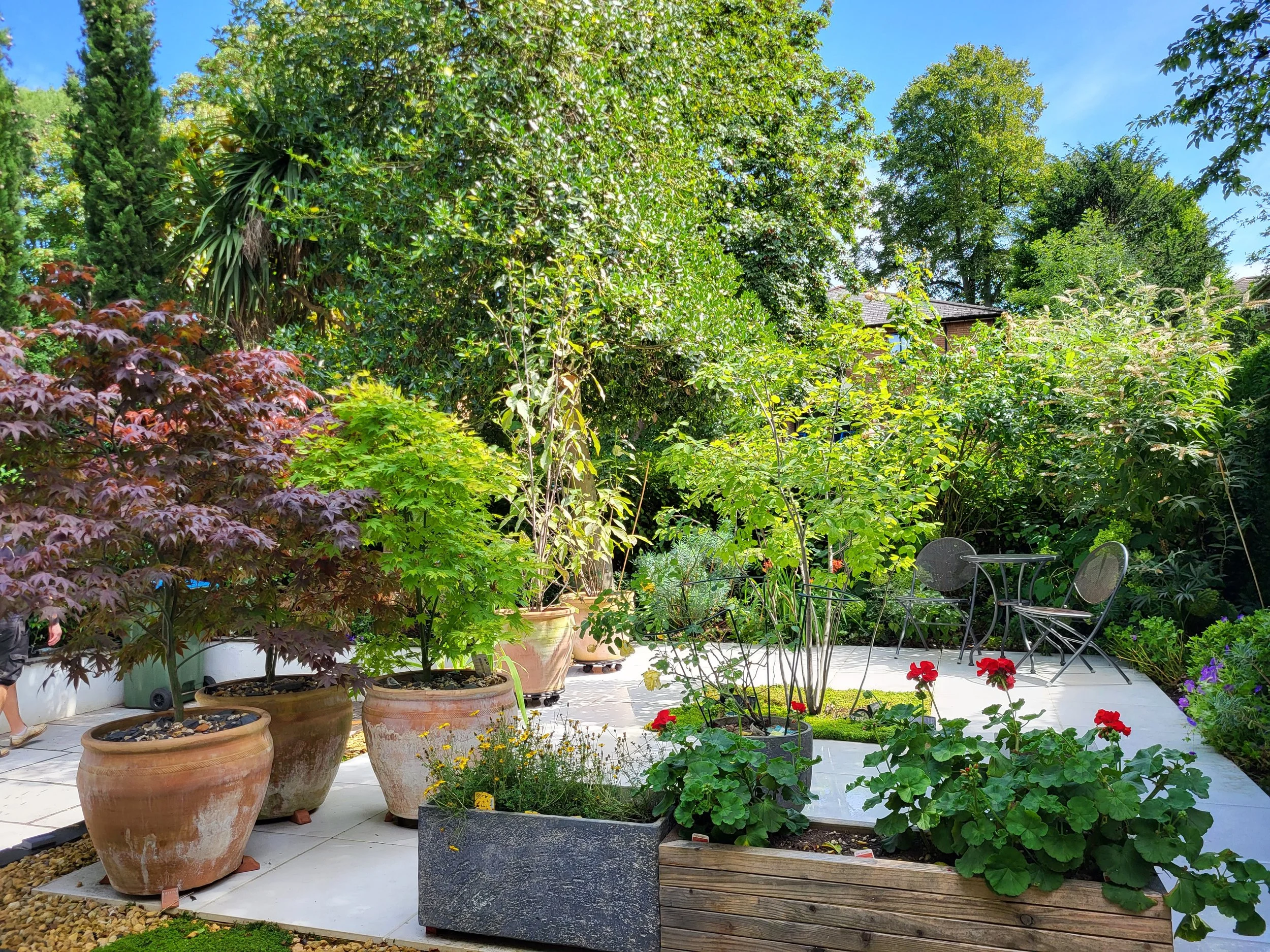 A lush outdoor garden patio with potted plants, small trees, colorful flowers, and a black metal table with two chairs, surrounded by green trees and a clear blue sky.