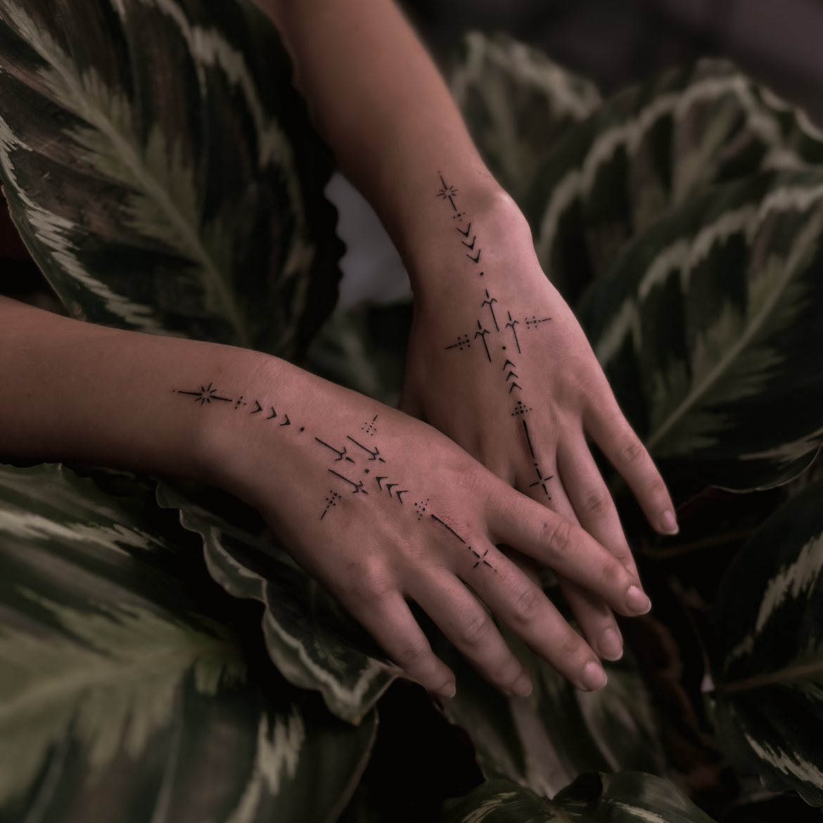 Deux mains avec un tatouage noir de symboles polynésien et de lignes, posées sur des feuilles vertes à motif blanc.