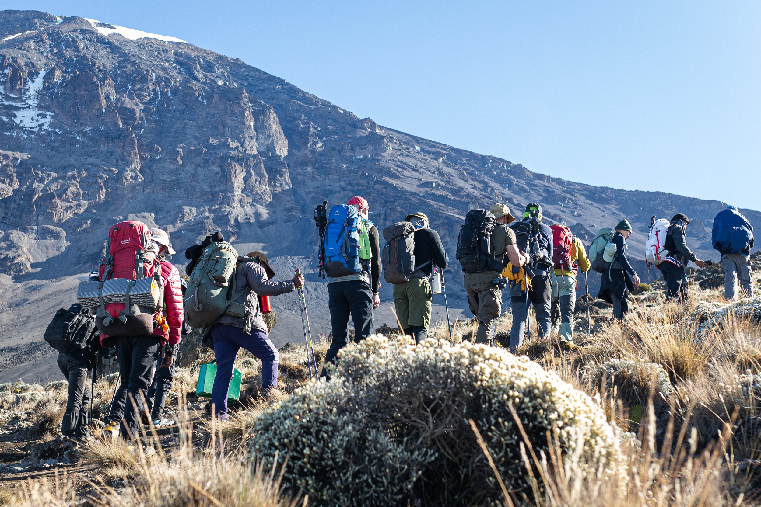 Kili2023-315.jpg