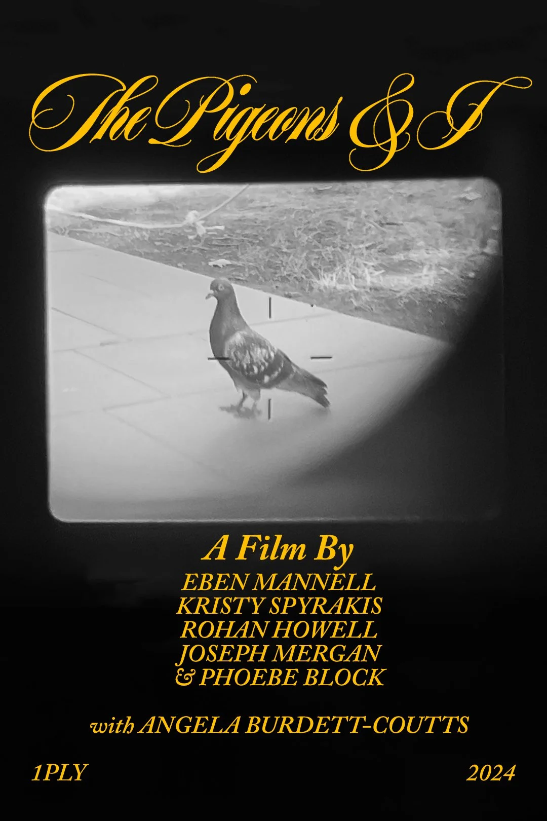 The Pigeons & I poster.jpg