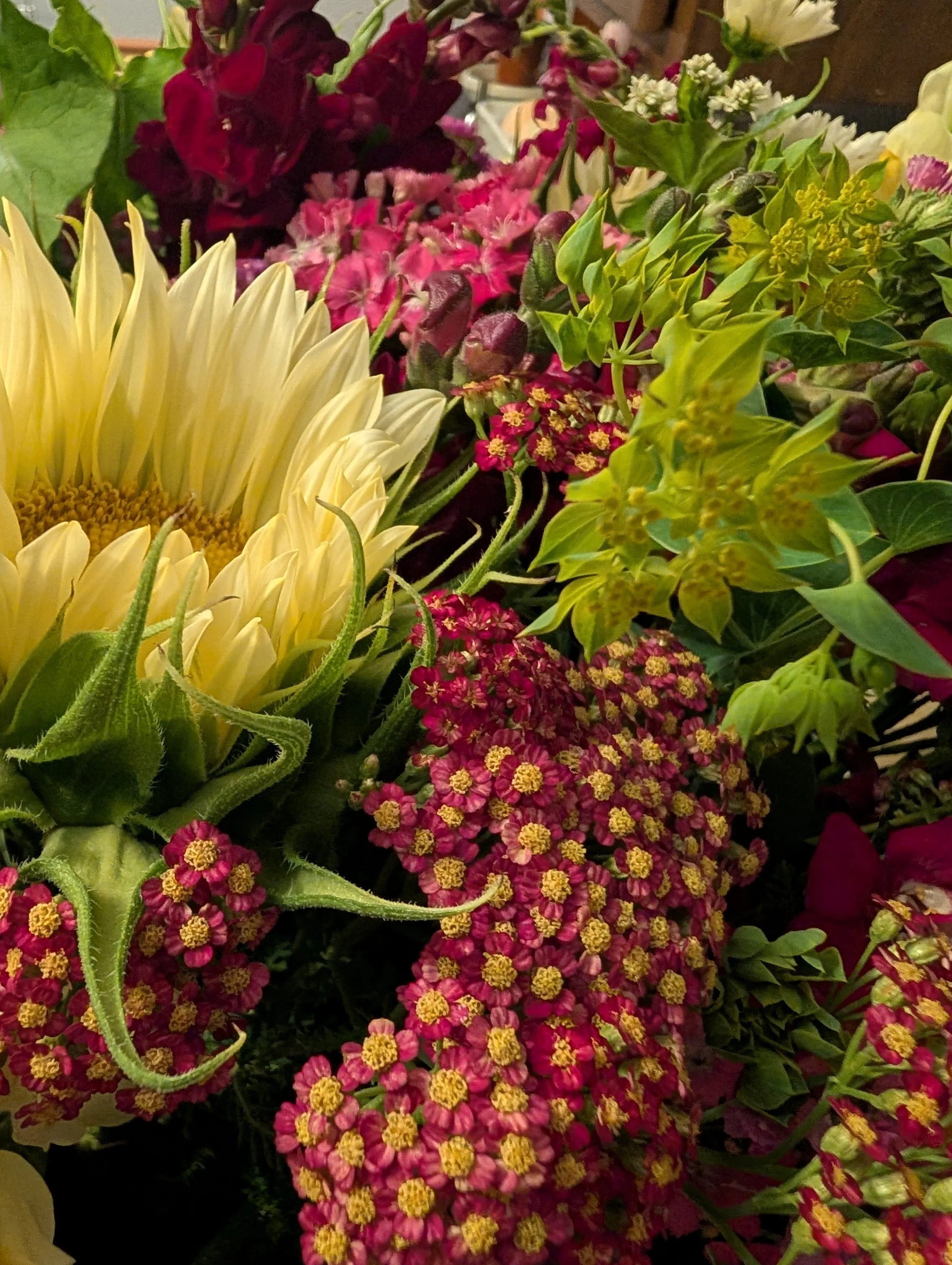 A colorful summer bouquet of flowers including yellow sunflower, pink yarrow, yellow, bupleurum and statice flowers.