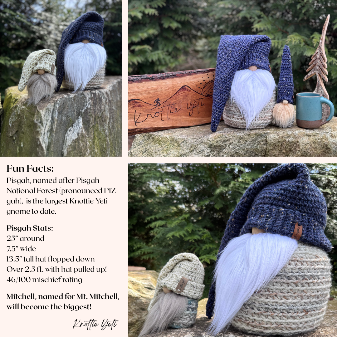 Bigger Than Pisgah.png