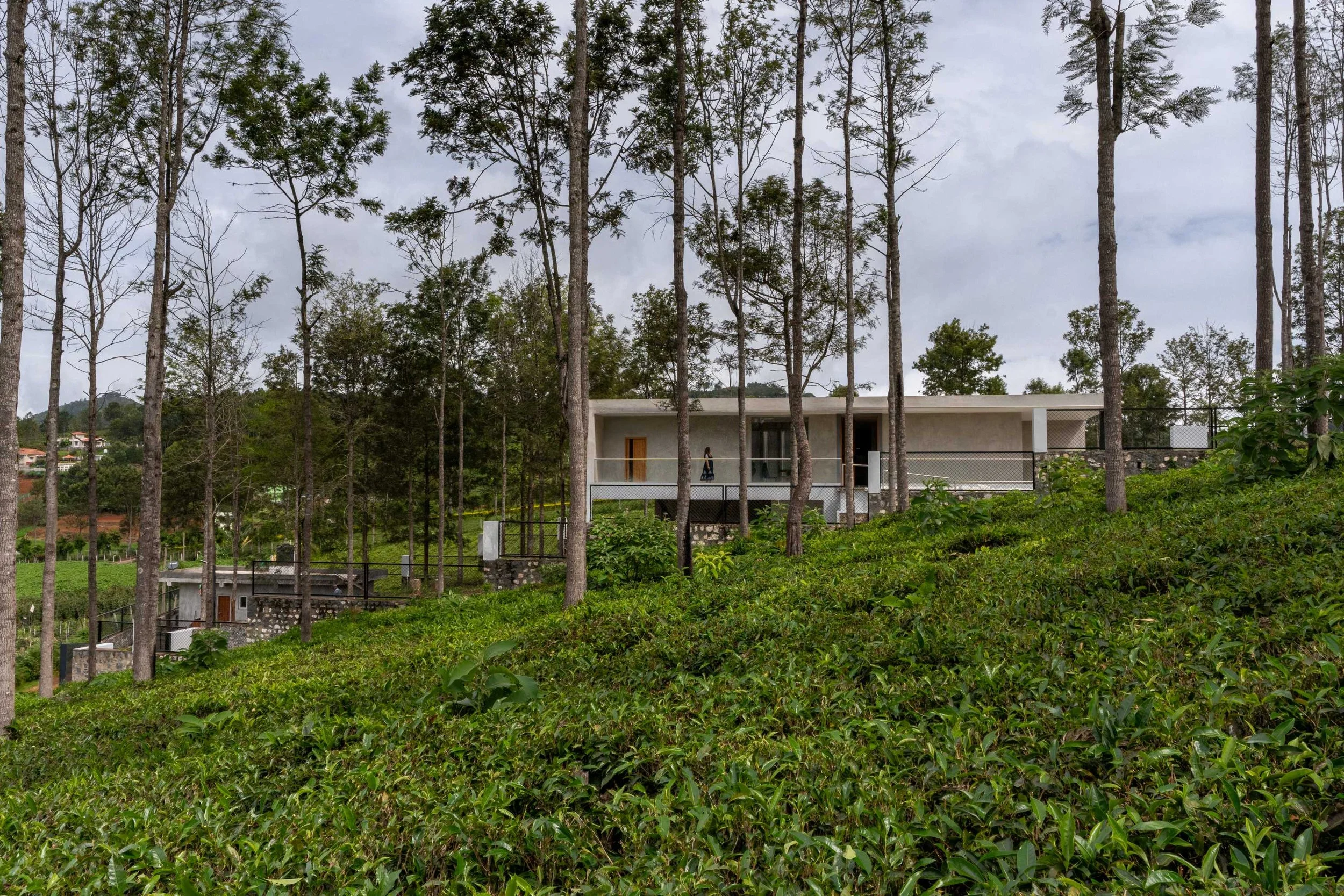 A7404168-HDR-2 A.jpg