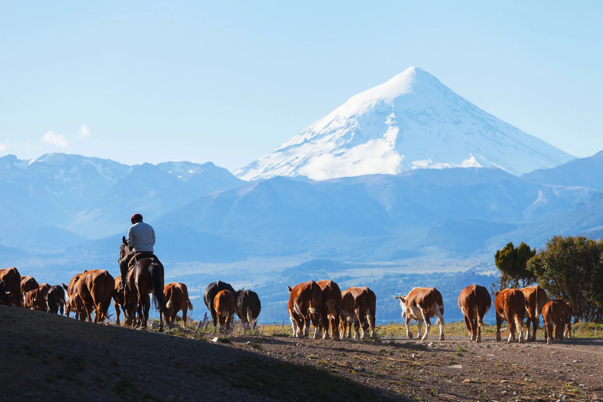 Patagonia Self-Drive: Ruta de los Siete Lagos