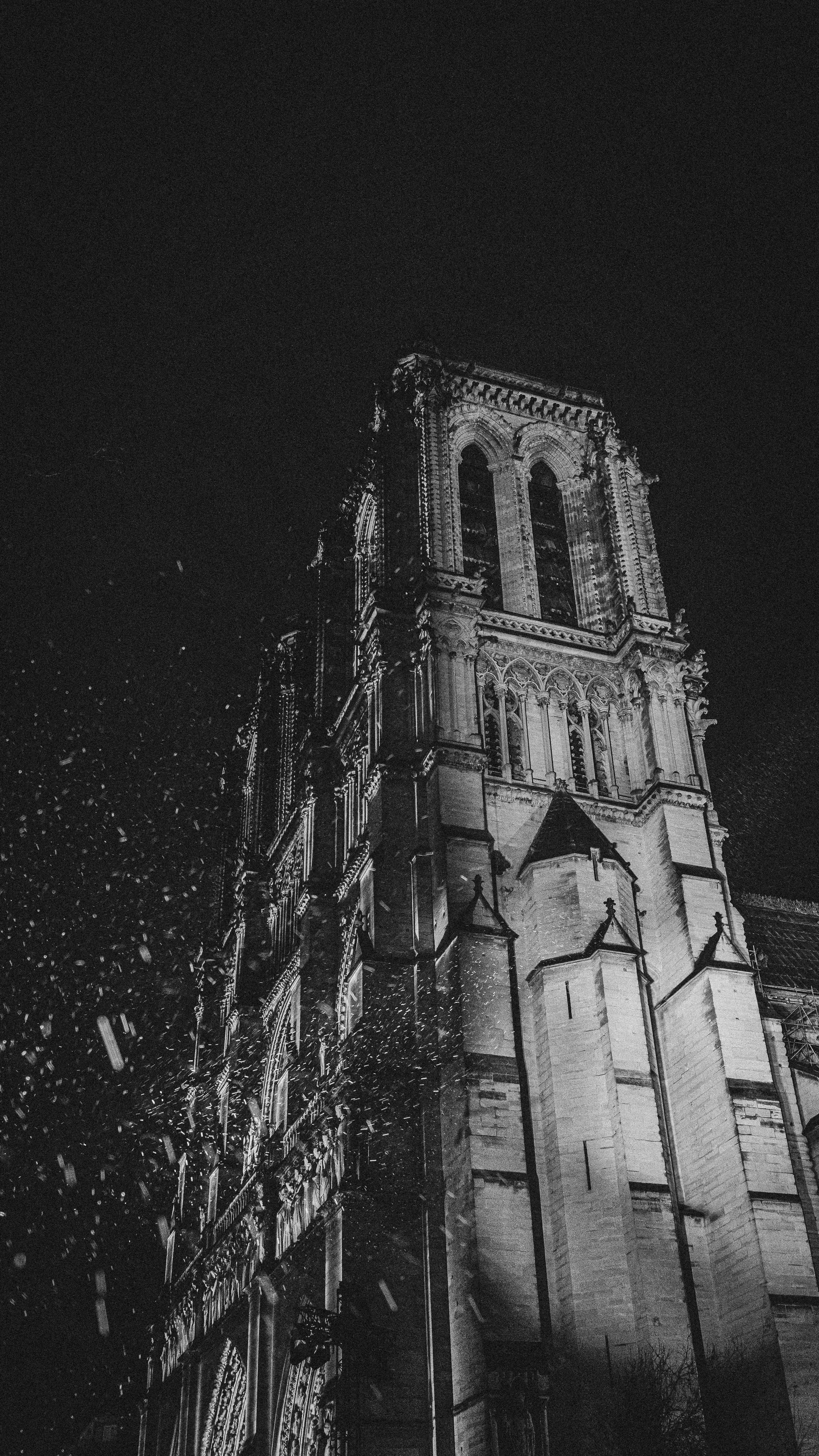 Réouverture de Notre-Dame de Paris