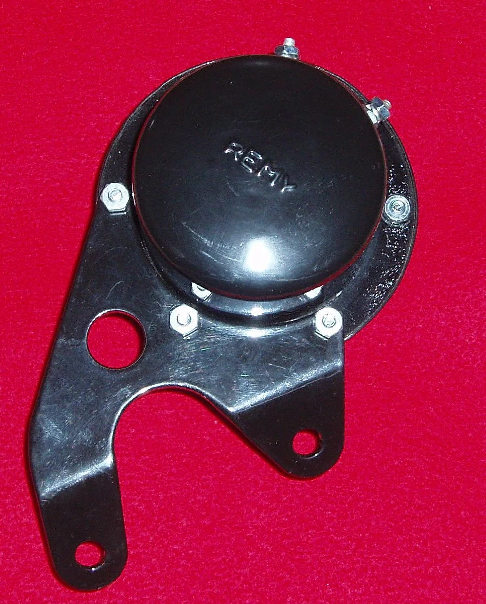 Remy with logo and bkt.JPG