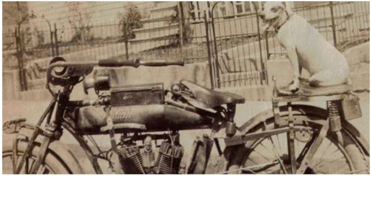 Black and white photo of a vintage motorcycle with a sidecar. There is a dog sitting on the sidecar, near the back wheel. A person is on the motorcycle, wearing a helmet. Fence and trees are in the background.