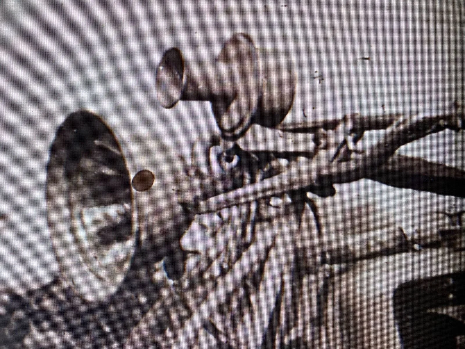 Excelsior with Adams-Bagnall horn