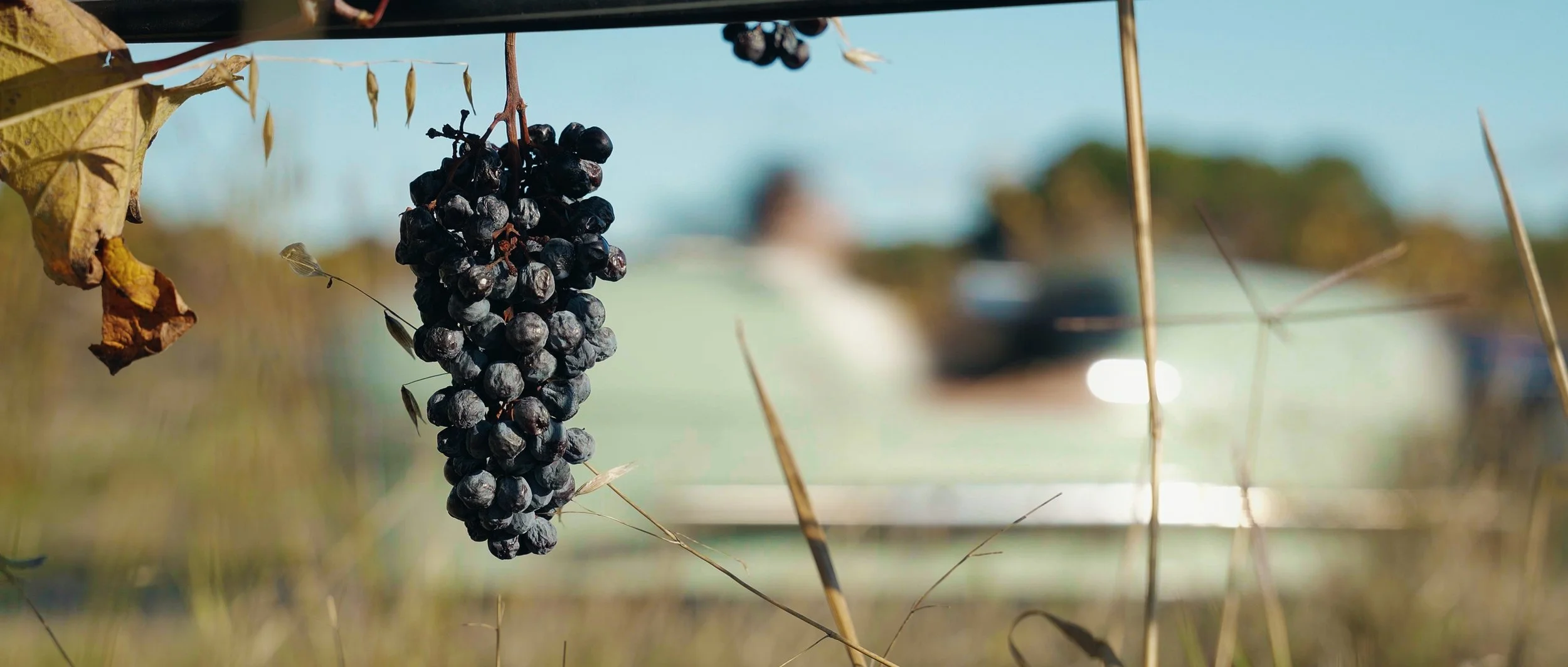 Image 2025-11-10 183239_4.48.1.jpg