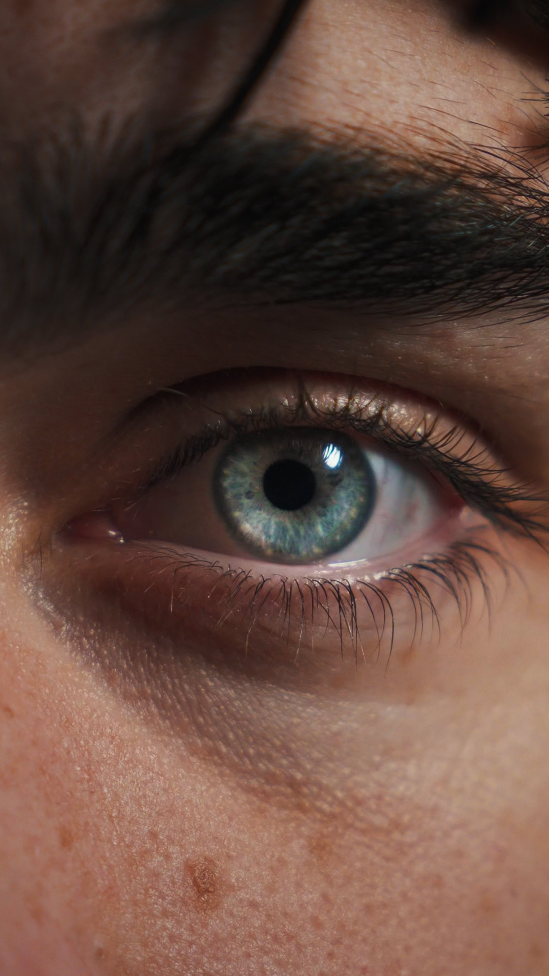 Close-up of a human eye with blue-green iris, surrounded by skin, eyelashes, and eyebrow.