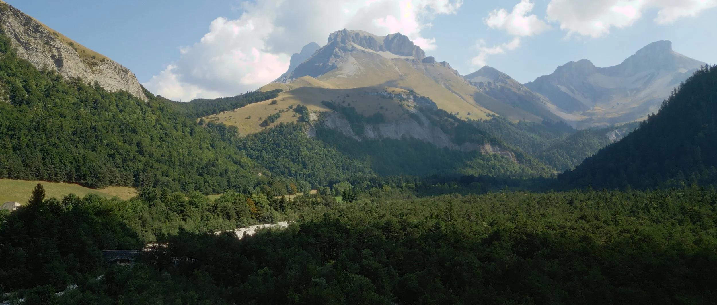 Image 2025-09-17 164024_1.1.1.jpg