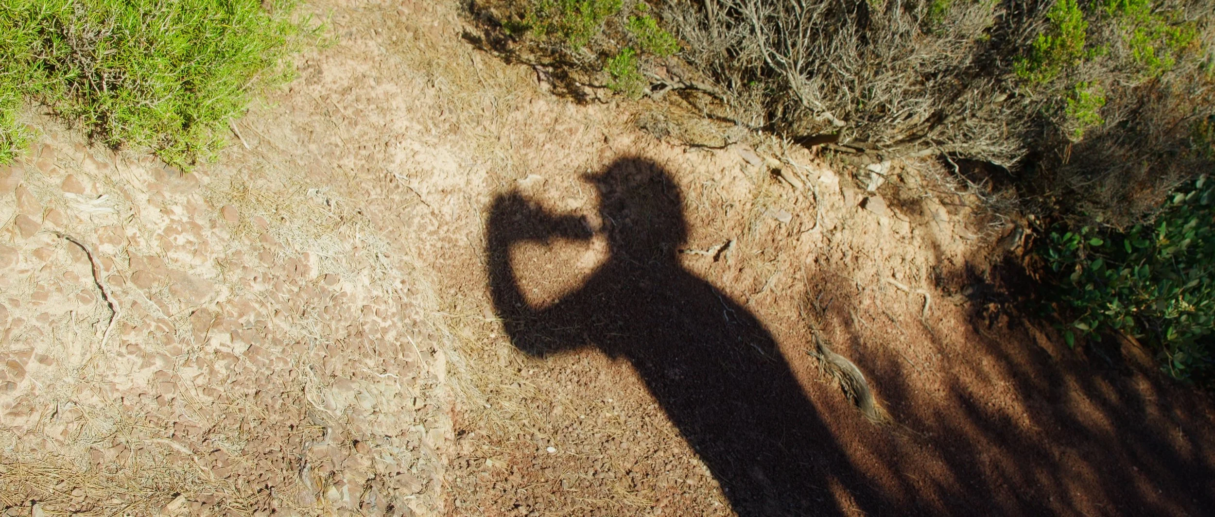 Image 2025-10-05 155122_1.37.1.jpg