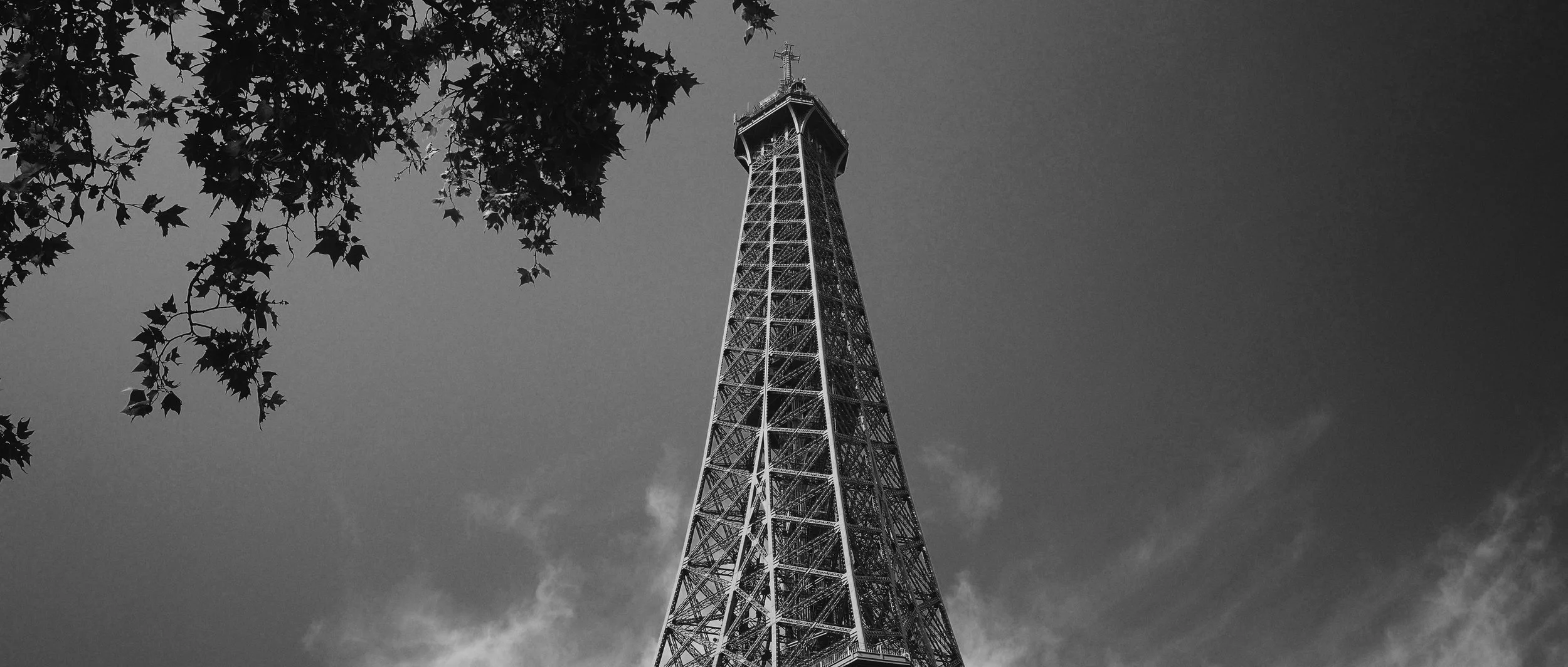 VF 235_00_00_19_15.jpg