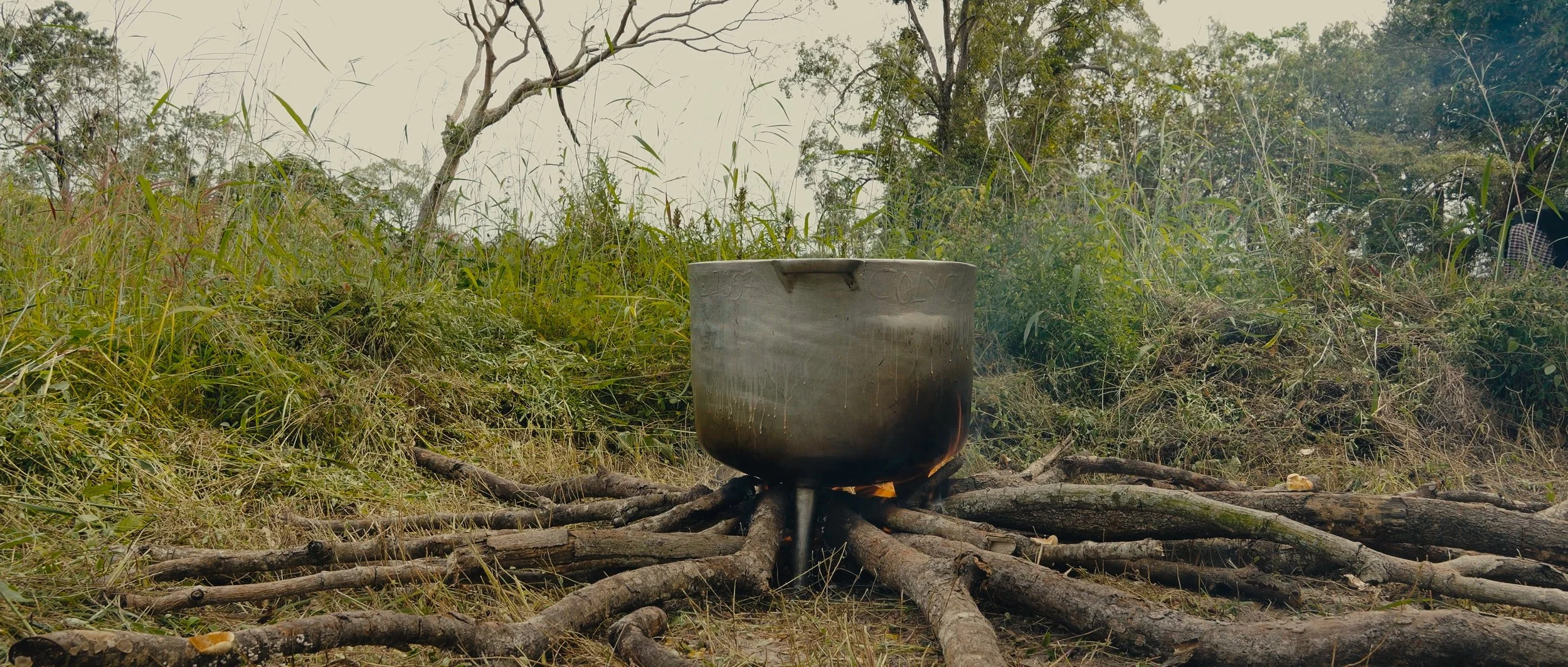A large metal pot placed over an outdoor fire in a forested area, with numerous tree roots and grass surrounding it.