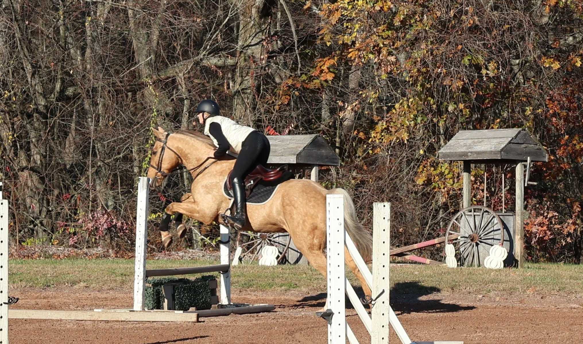 A rider on a tan horse jumping over a show obstacle during an equestrian event, with autumn trees in the background.