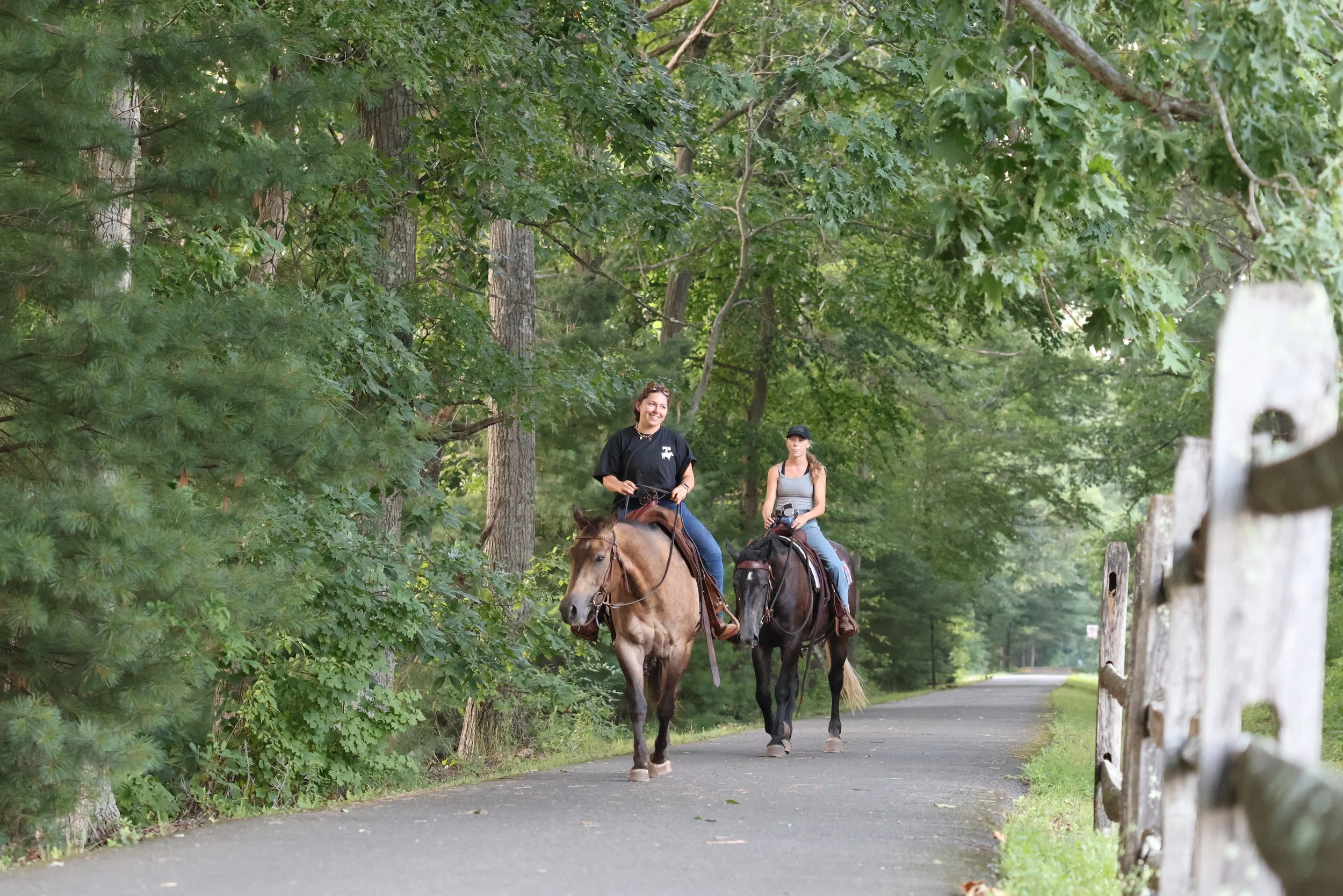 Two people riding horses along a wooded path surrounded by green trees, with a wooden fence on the right side of the path.