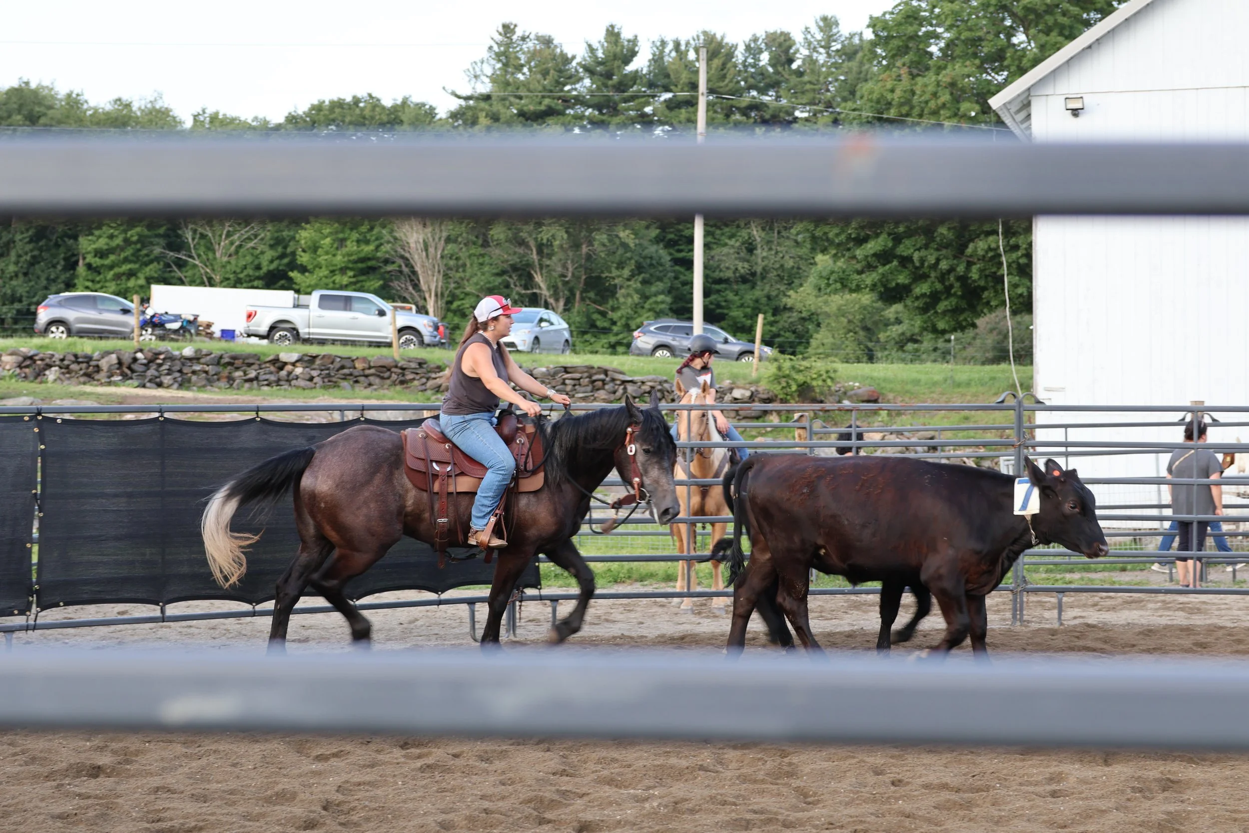 Two women riding horses inside an outdoor arena, with additional people on horses, and cars parked outside in the background, surrounded by green trees and a building.