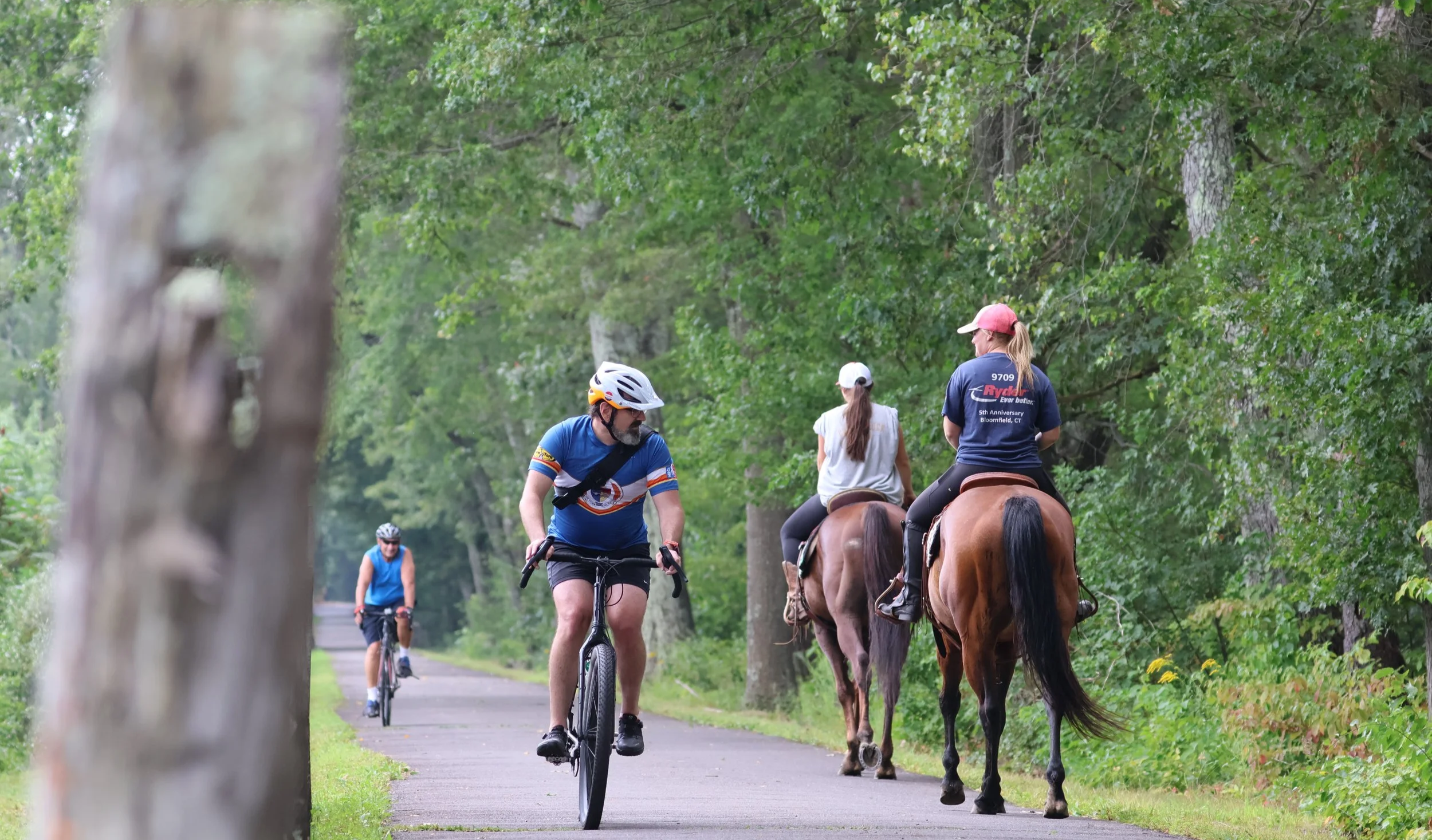 People riding horses and cycling on a paved trail surrounded by green trees in a park.