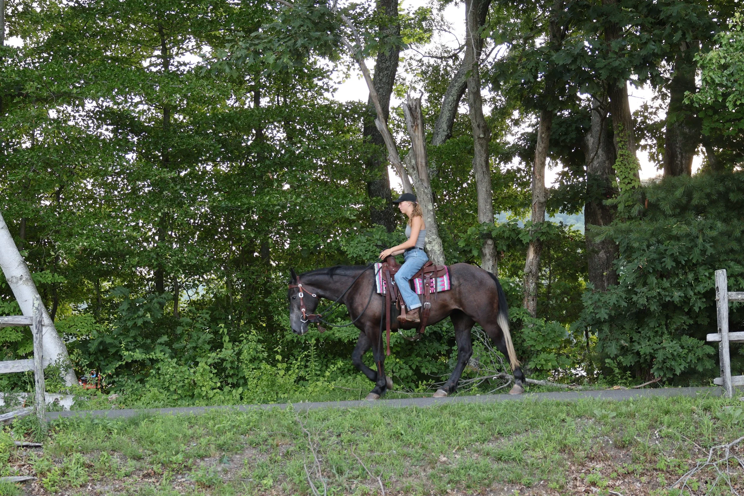 A woman riding a brown horse with a pink and white saddle pad in a wooded area with tall green trees and a fence.