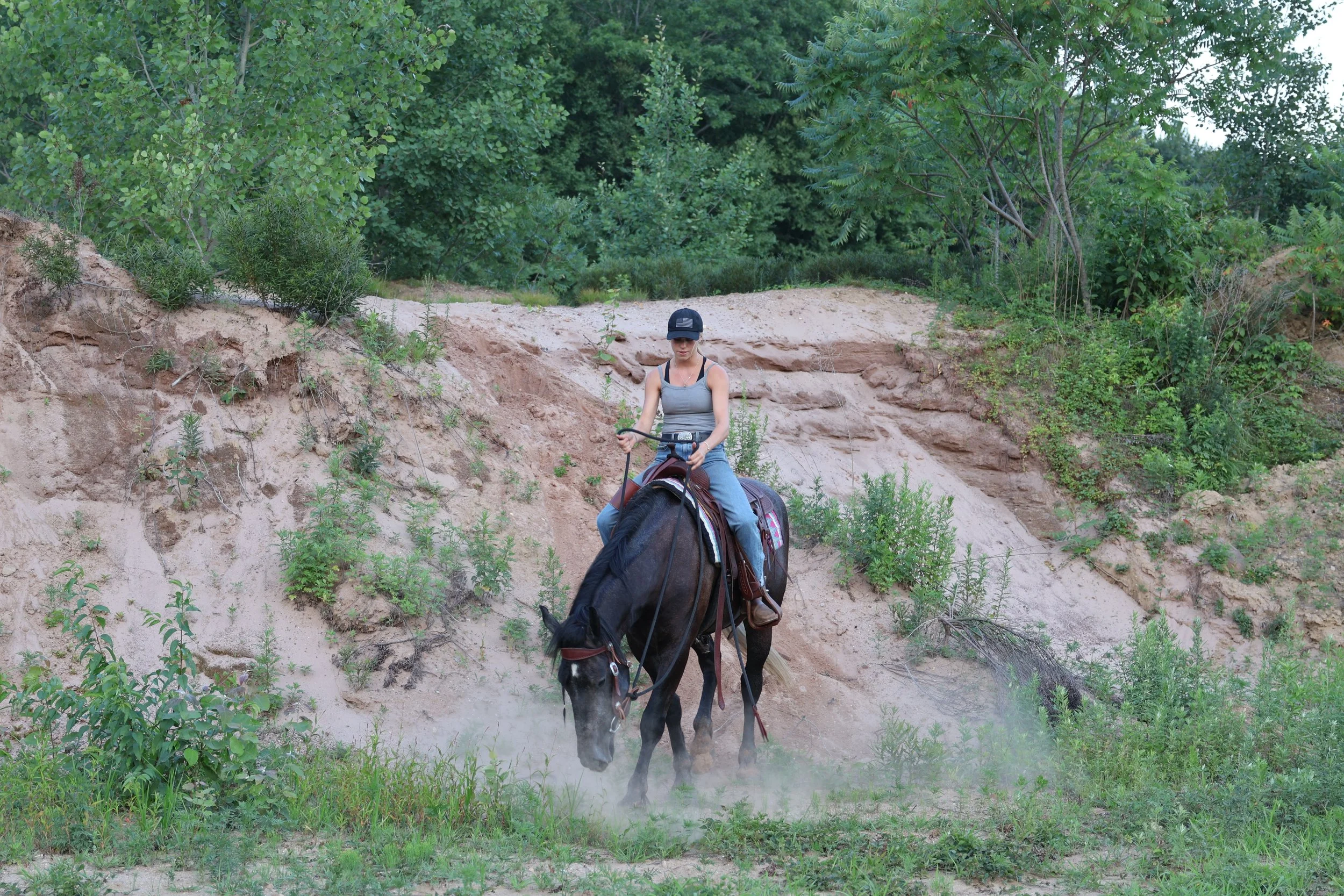 A woman wearing a black cap and gray sleeveless top riding a black horse in a dusty, green, wooded area.