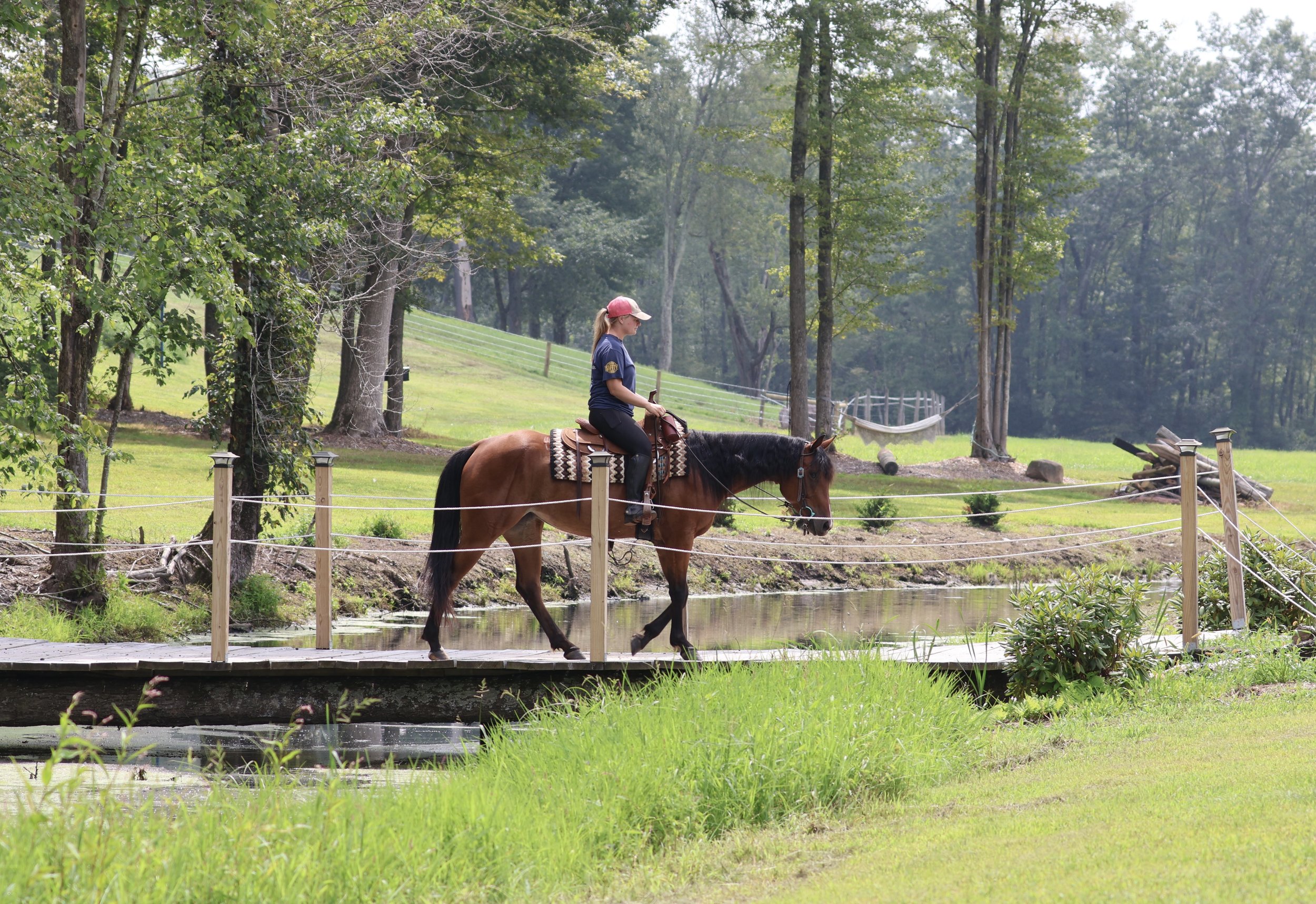 A woman in a blue shirt and pink cap riding a brown horse across a wooden bridge over a small creek in a lush green park with trees and grass